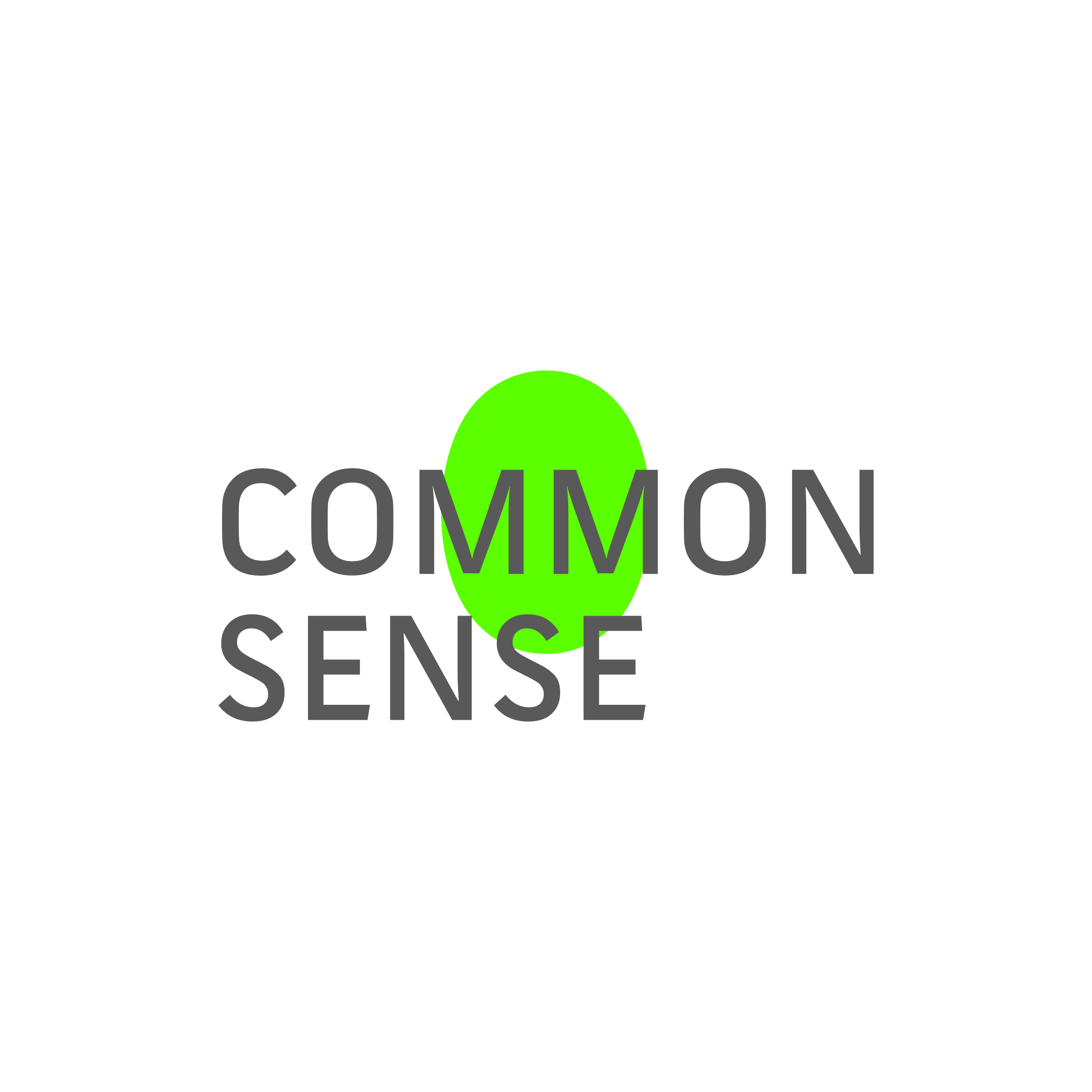 Company logo “Common Sense”