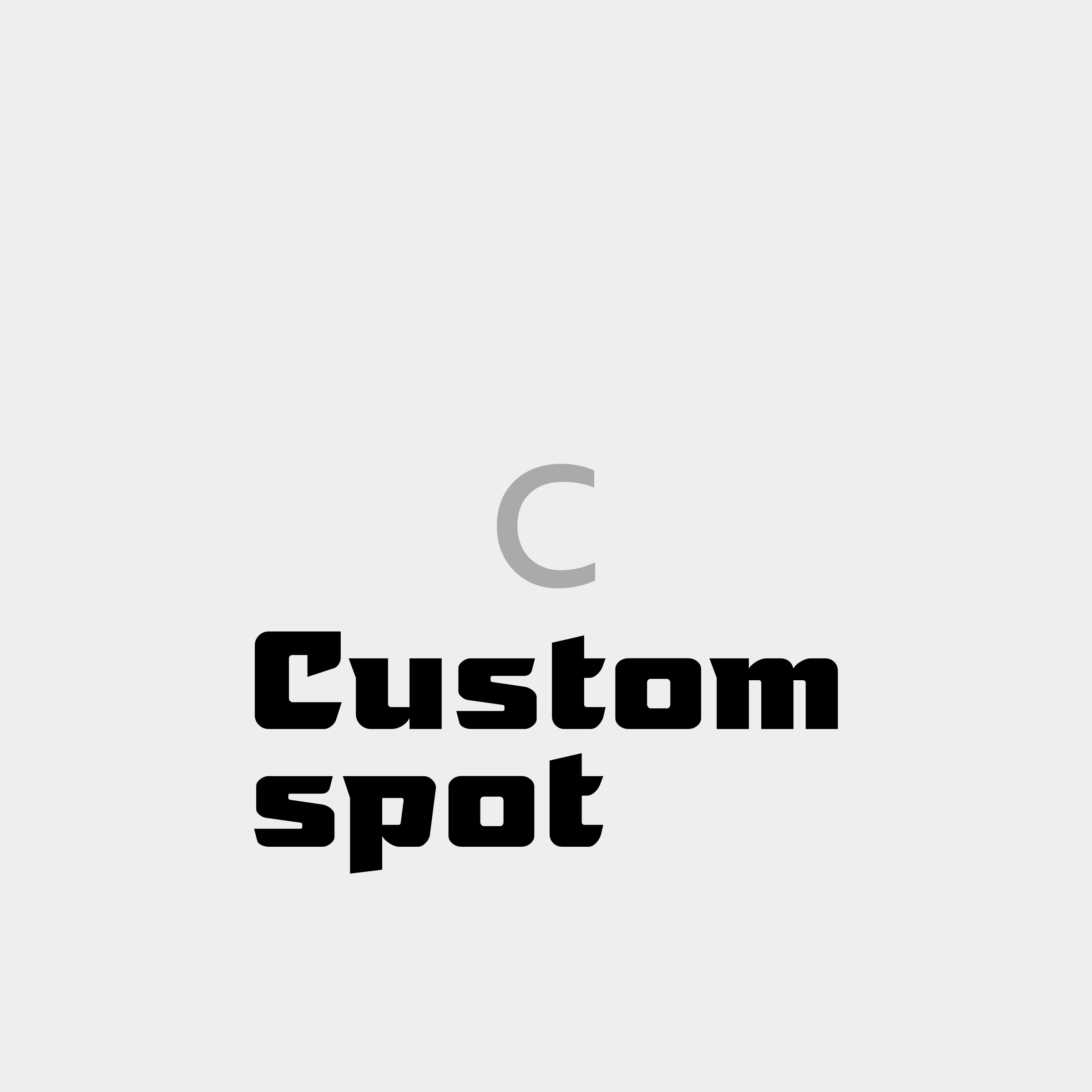 Company logo “Custom Spot”