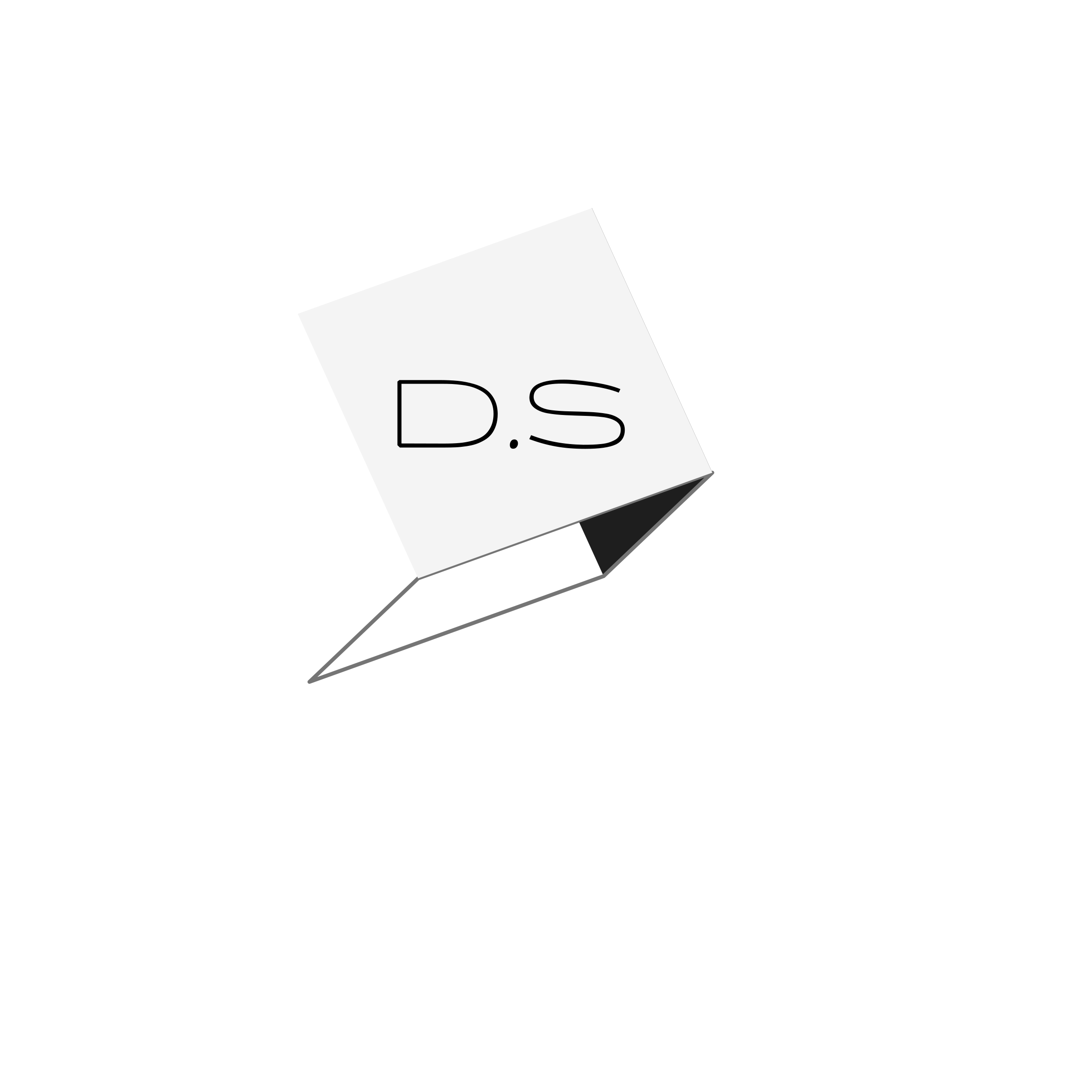 Company logo “D.S”