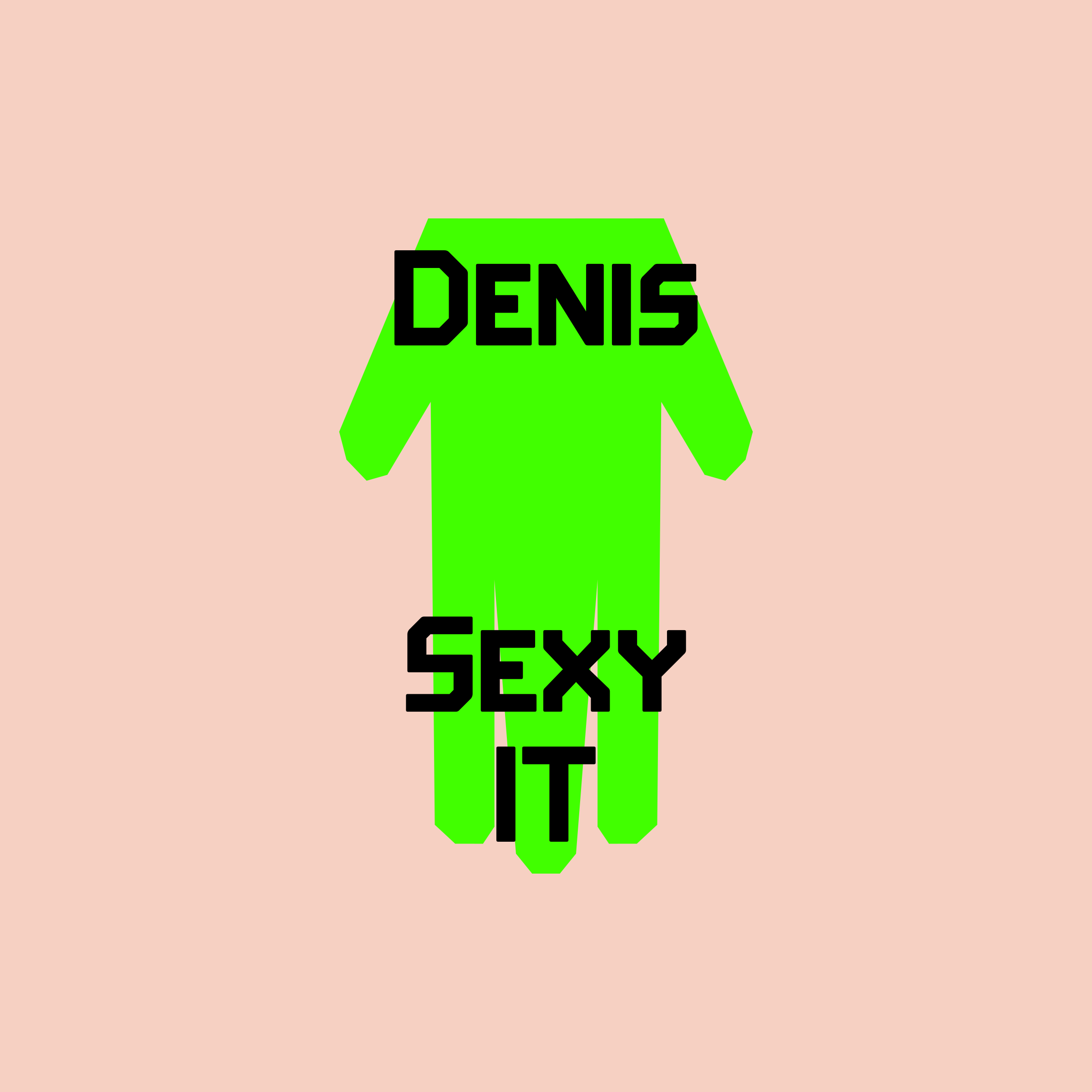 Company logo “Denis Sexy IT”