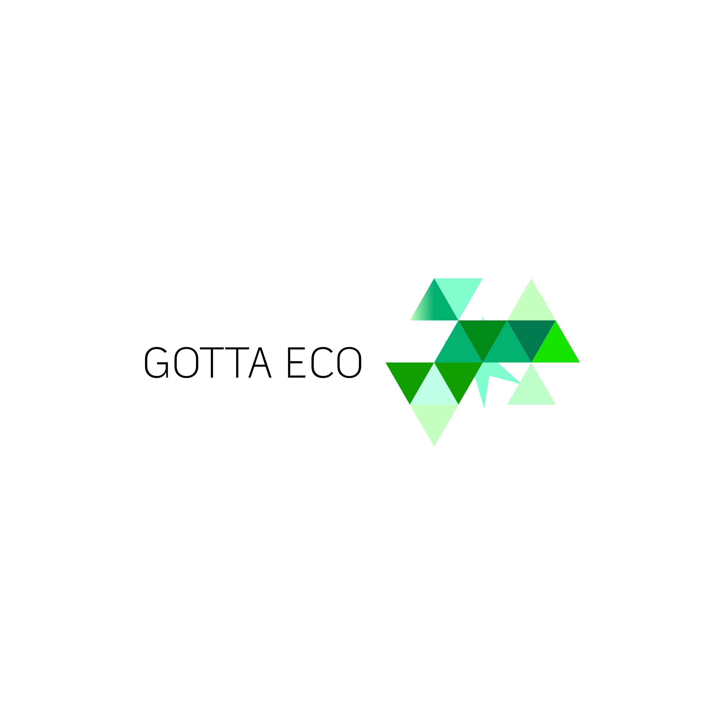 Company logo «Gotta eco»