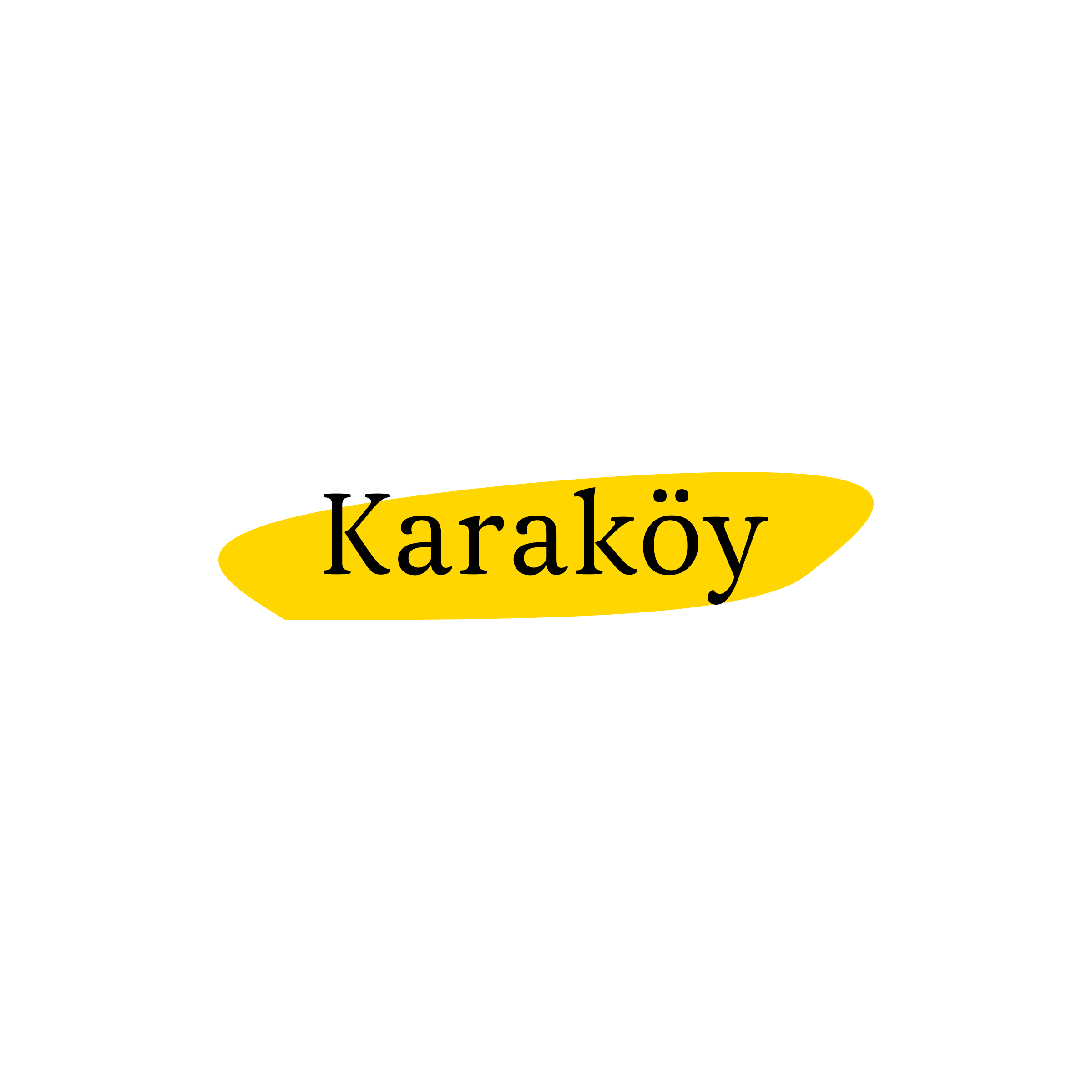 Company logo “Karaköy”