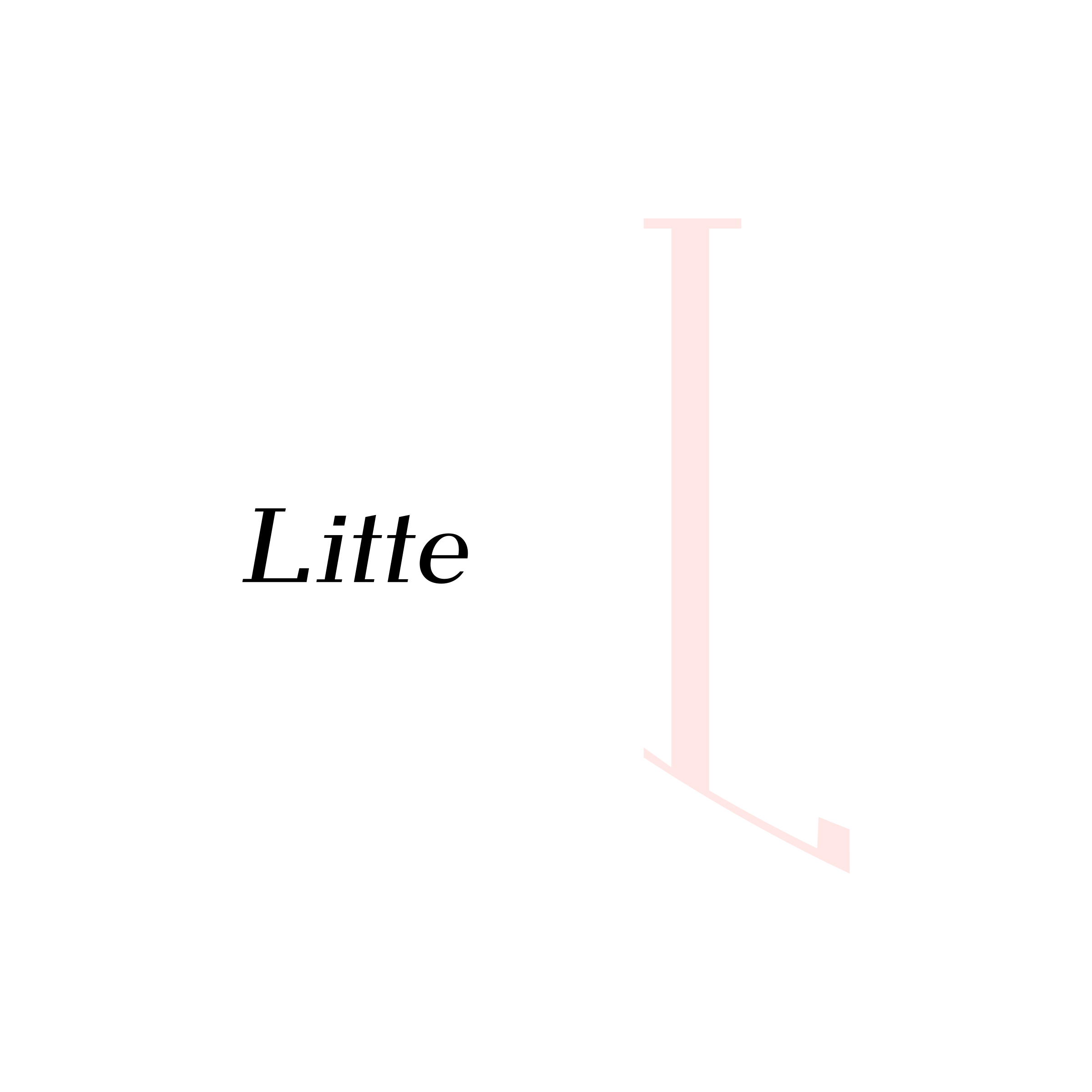 Company logo “Litte”