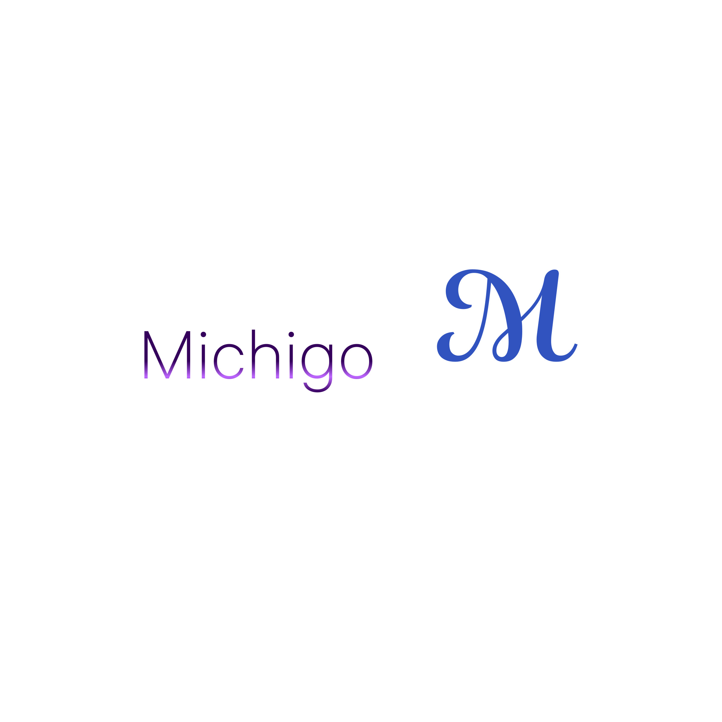 Company logo “Michigo”