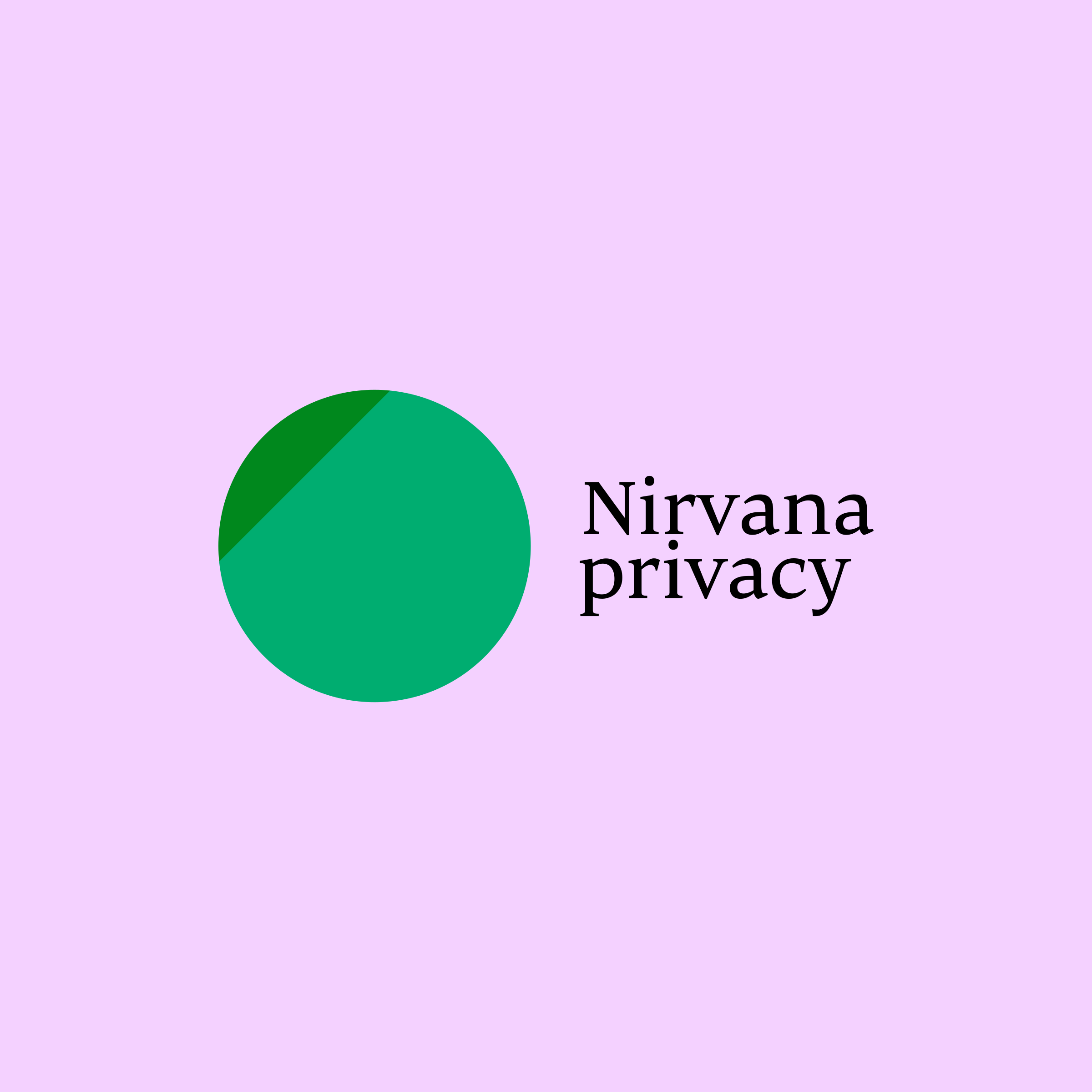 Company logo “Nirvana privacy”