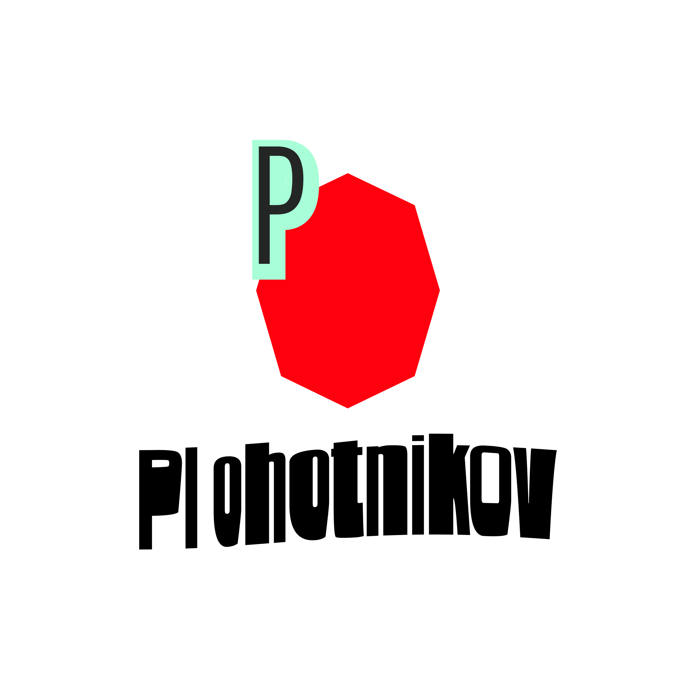 Company logo “Plohotnikov”