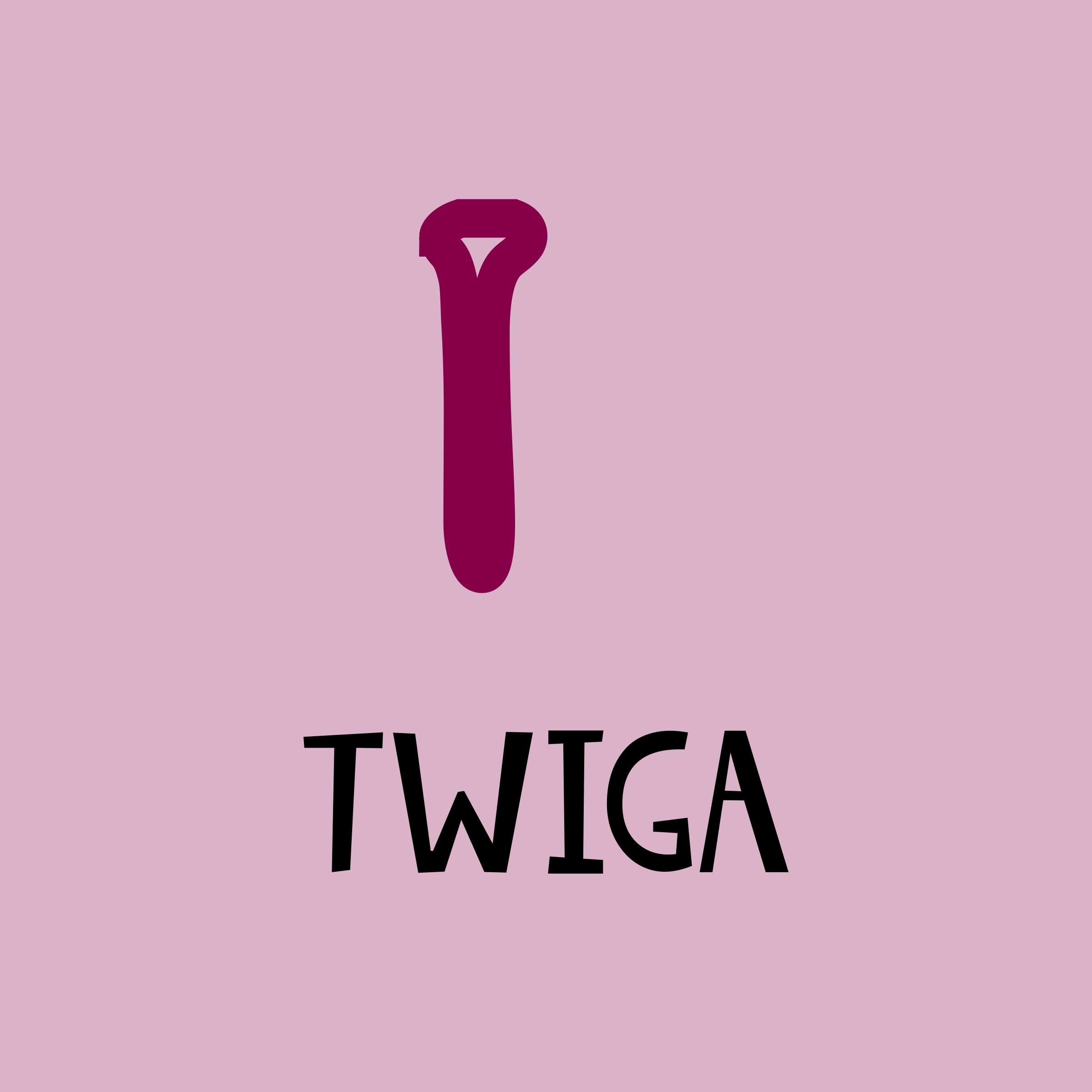 Company logo “Twiga”