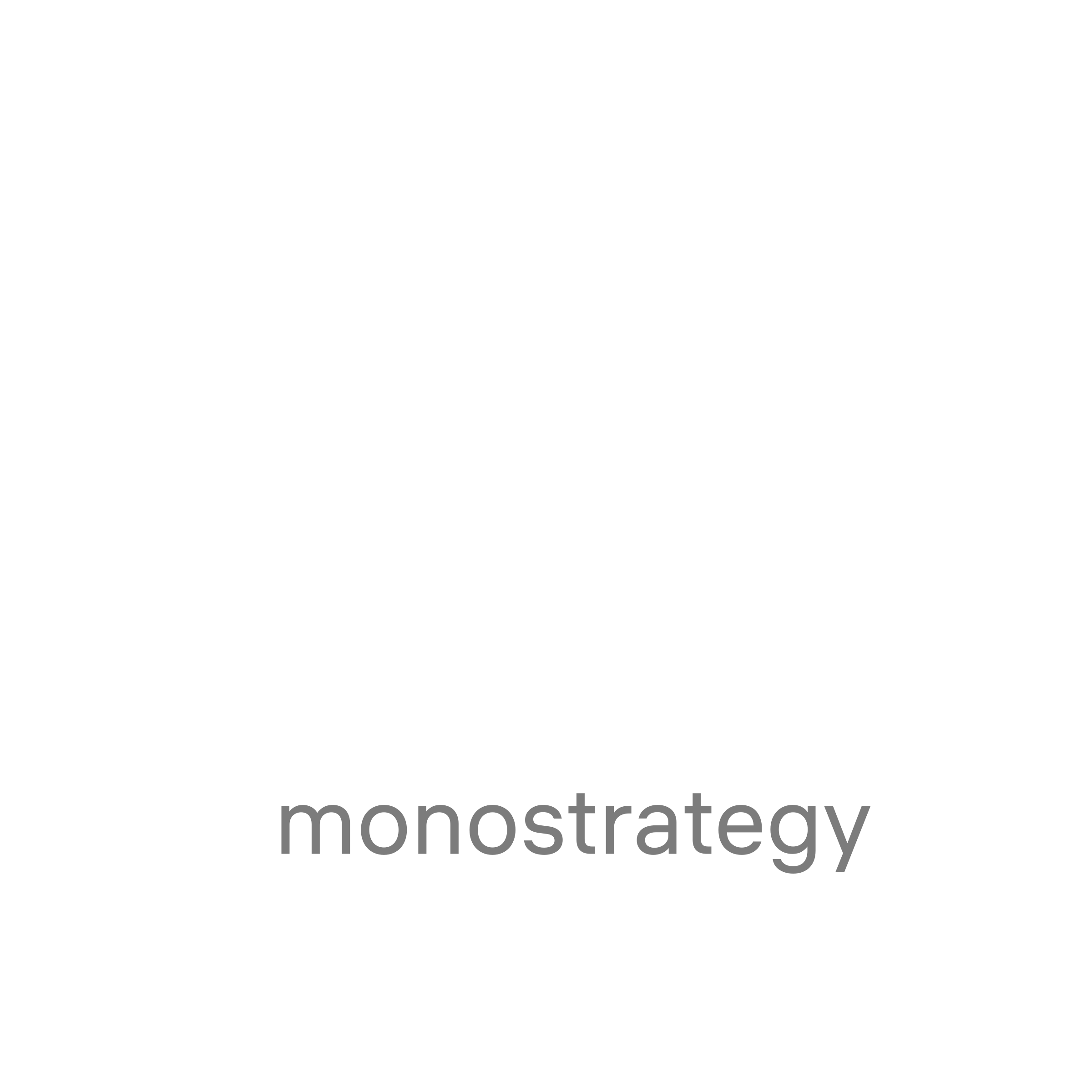 Company logo “monostrategy”