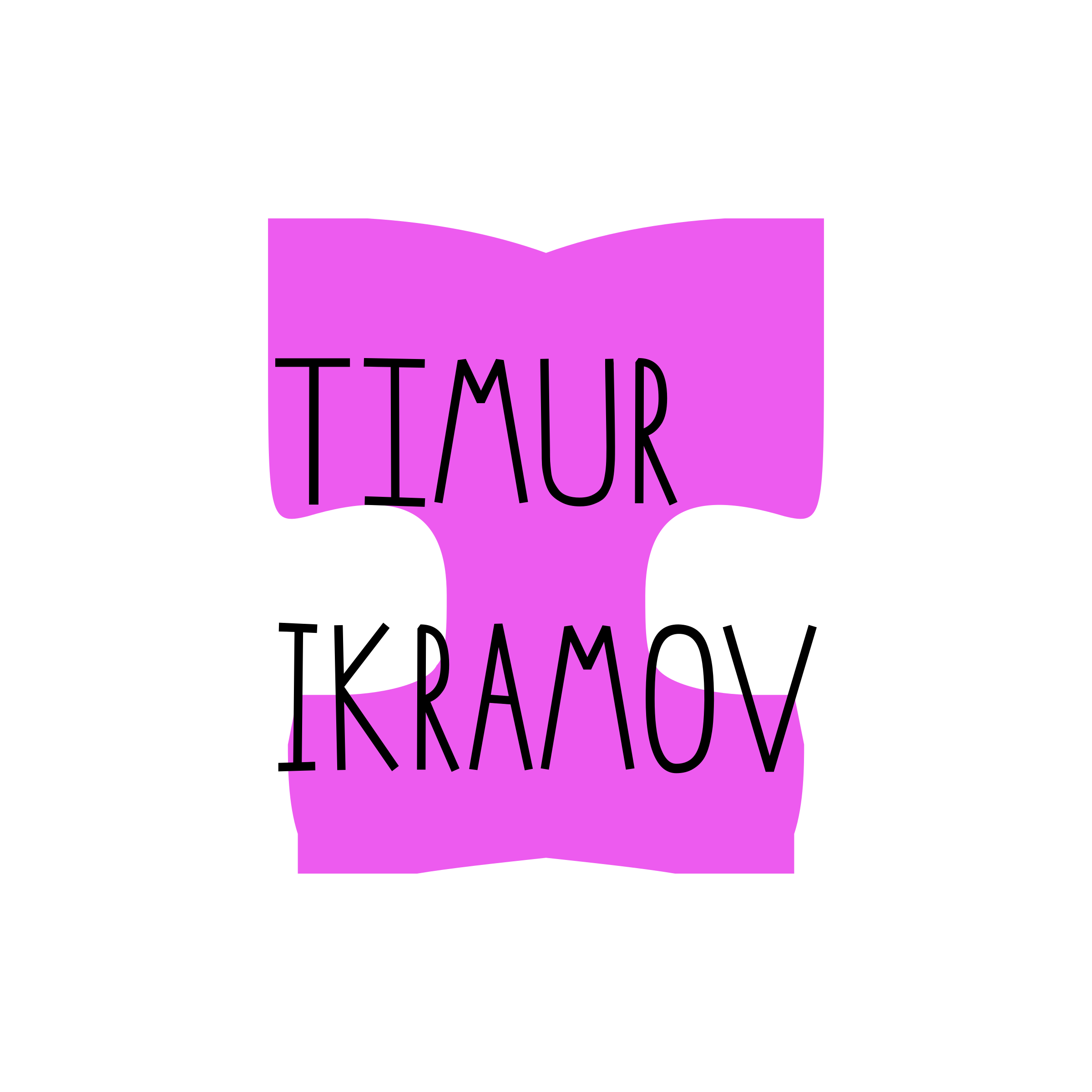 Company logo “Timur Ikramov”