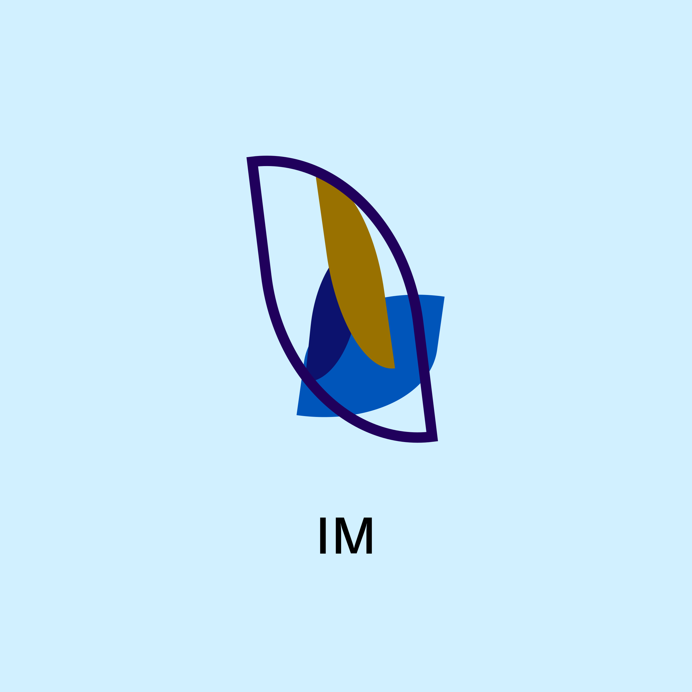 Company logo “IM”