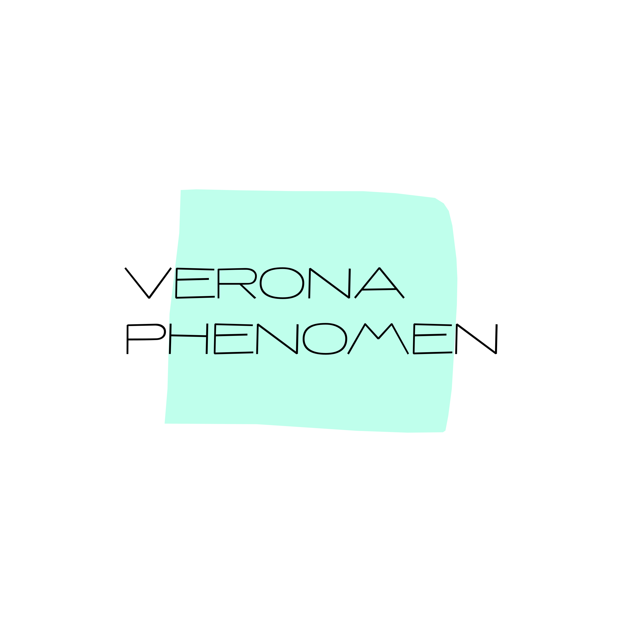 Company logo “Verona Phenomen”