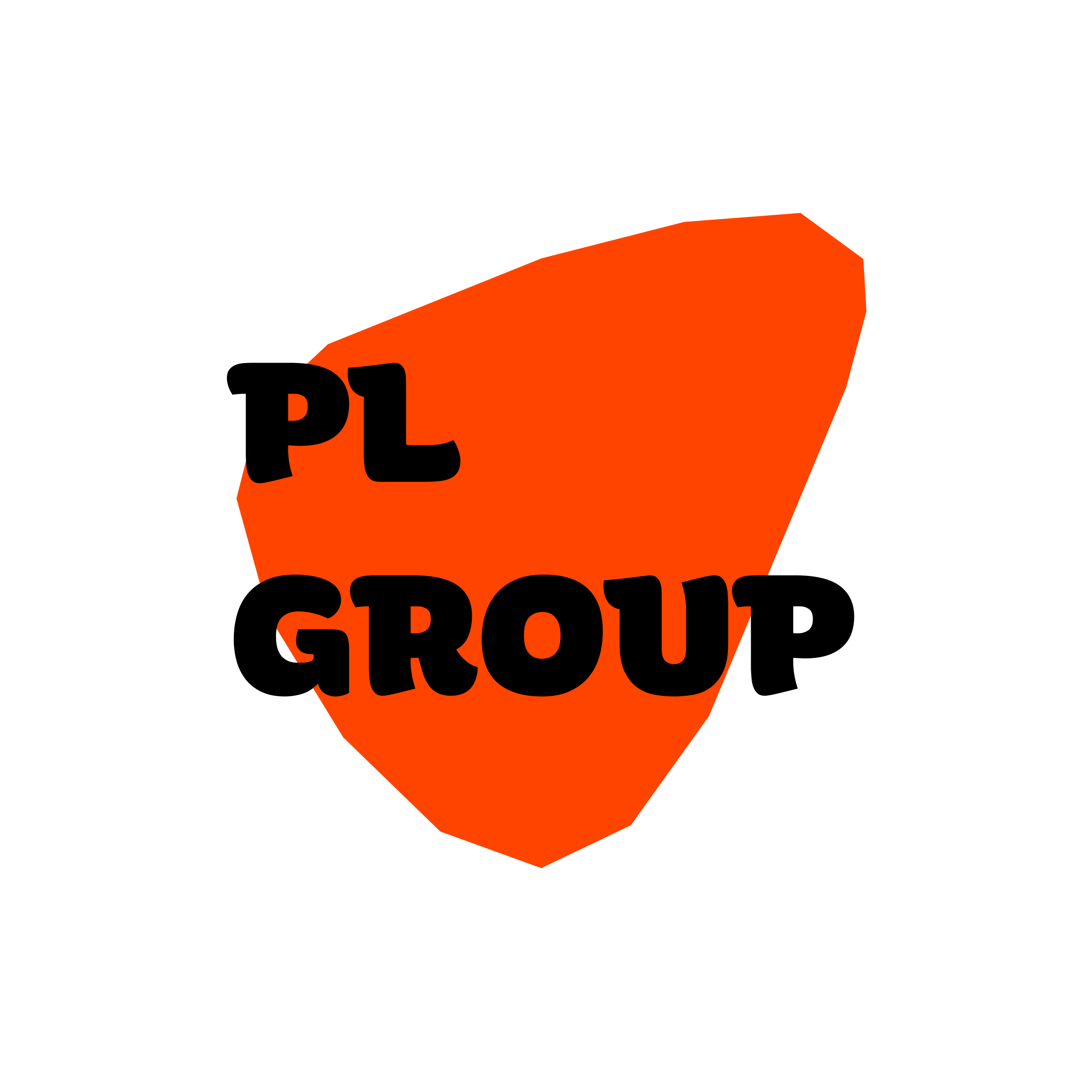 Company logo “PL GROUP”