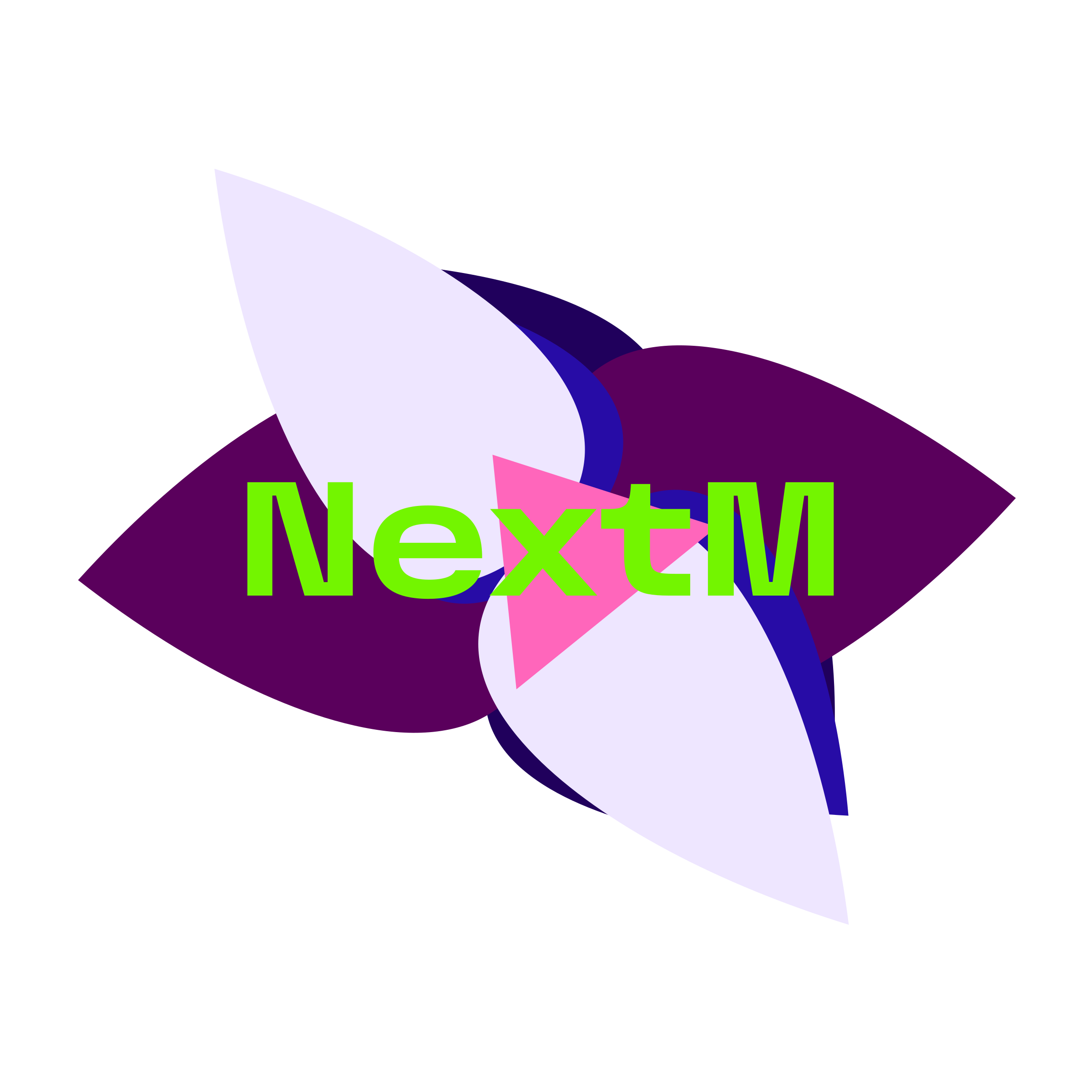 Company logo “NextM”