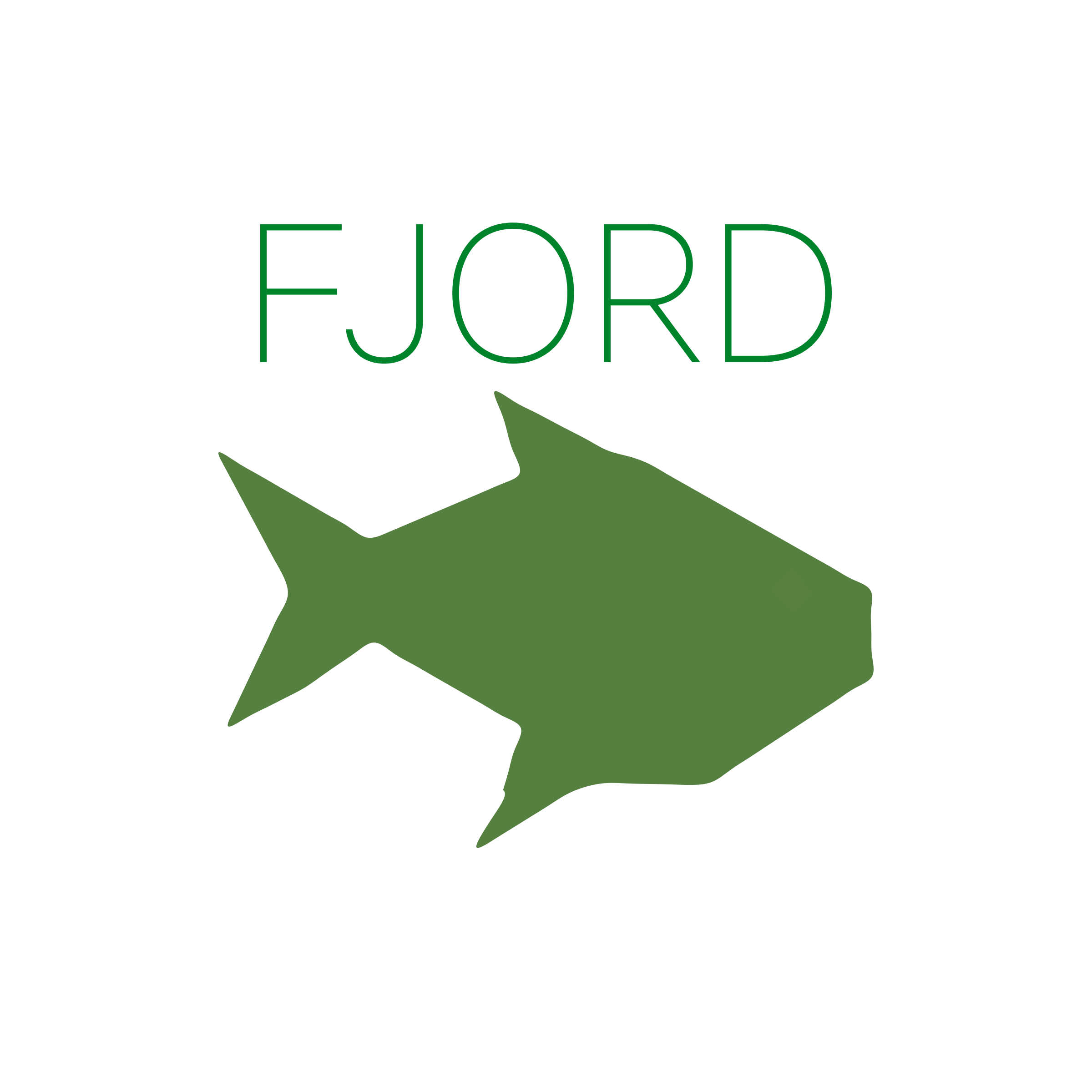 Company logo “FJORD”