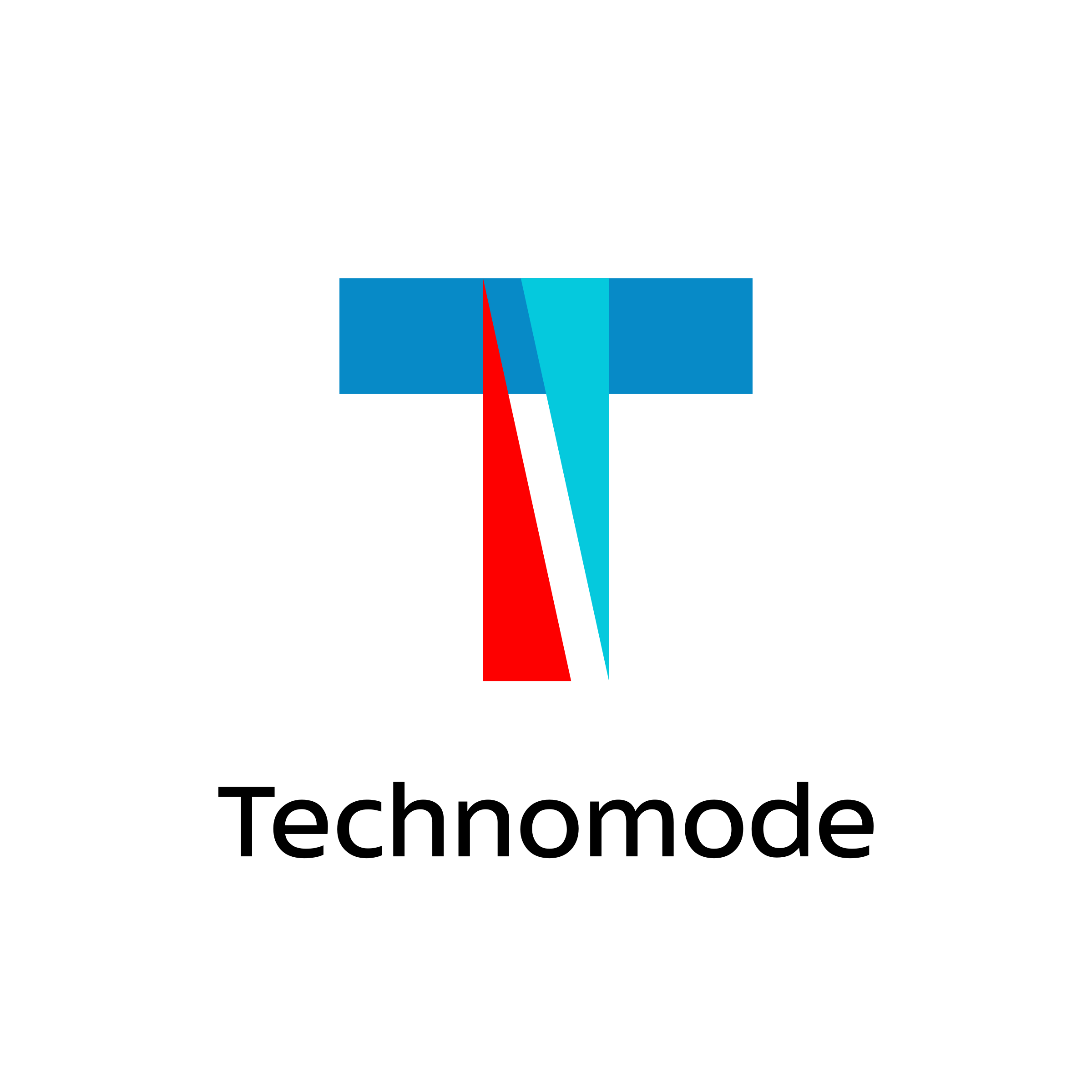 Company logo “Technomode”