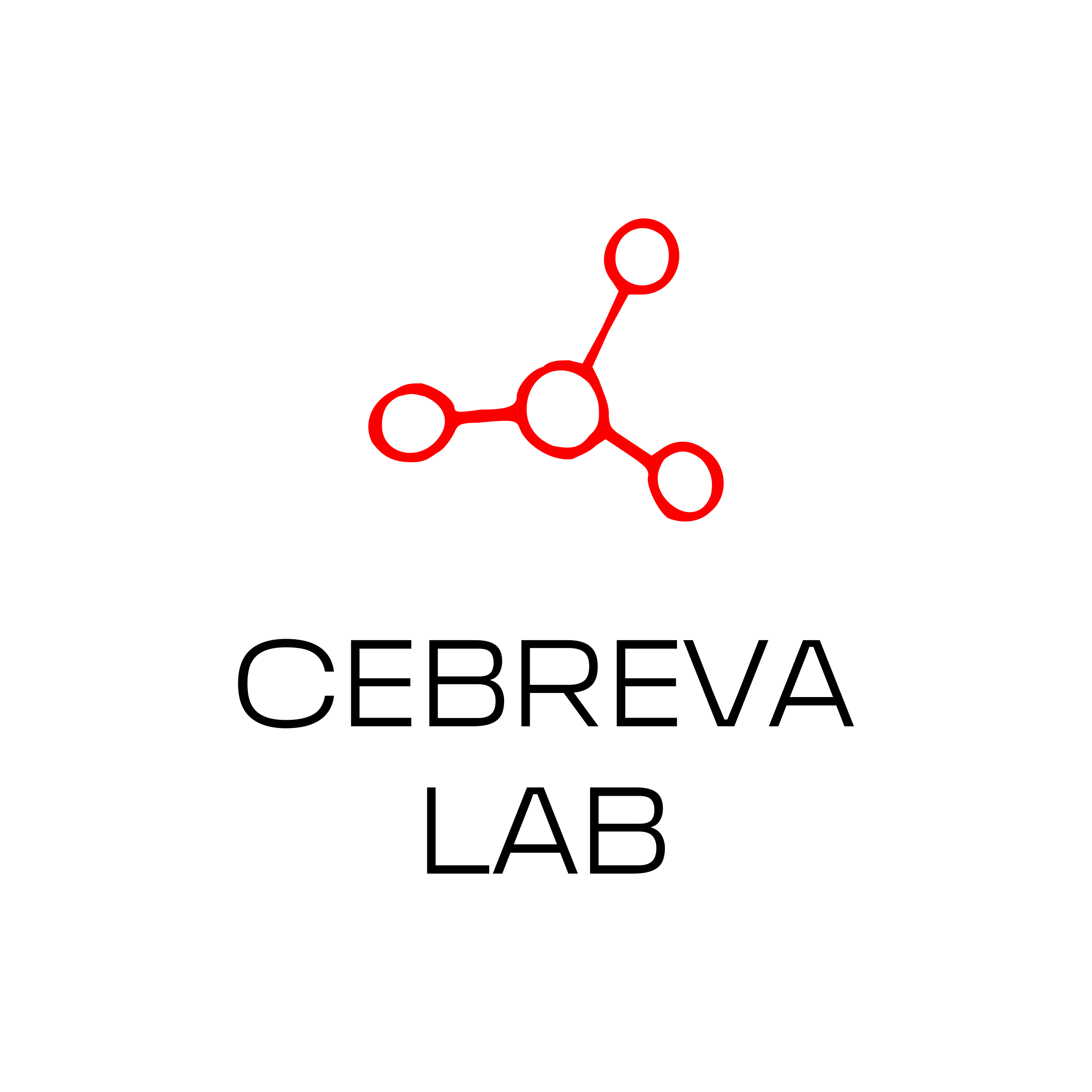 Company logo “CEBREVA LAB”