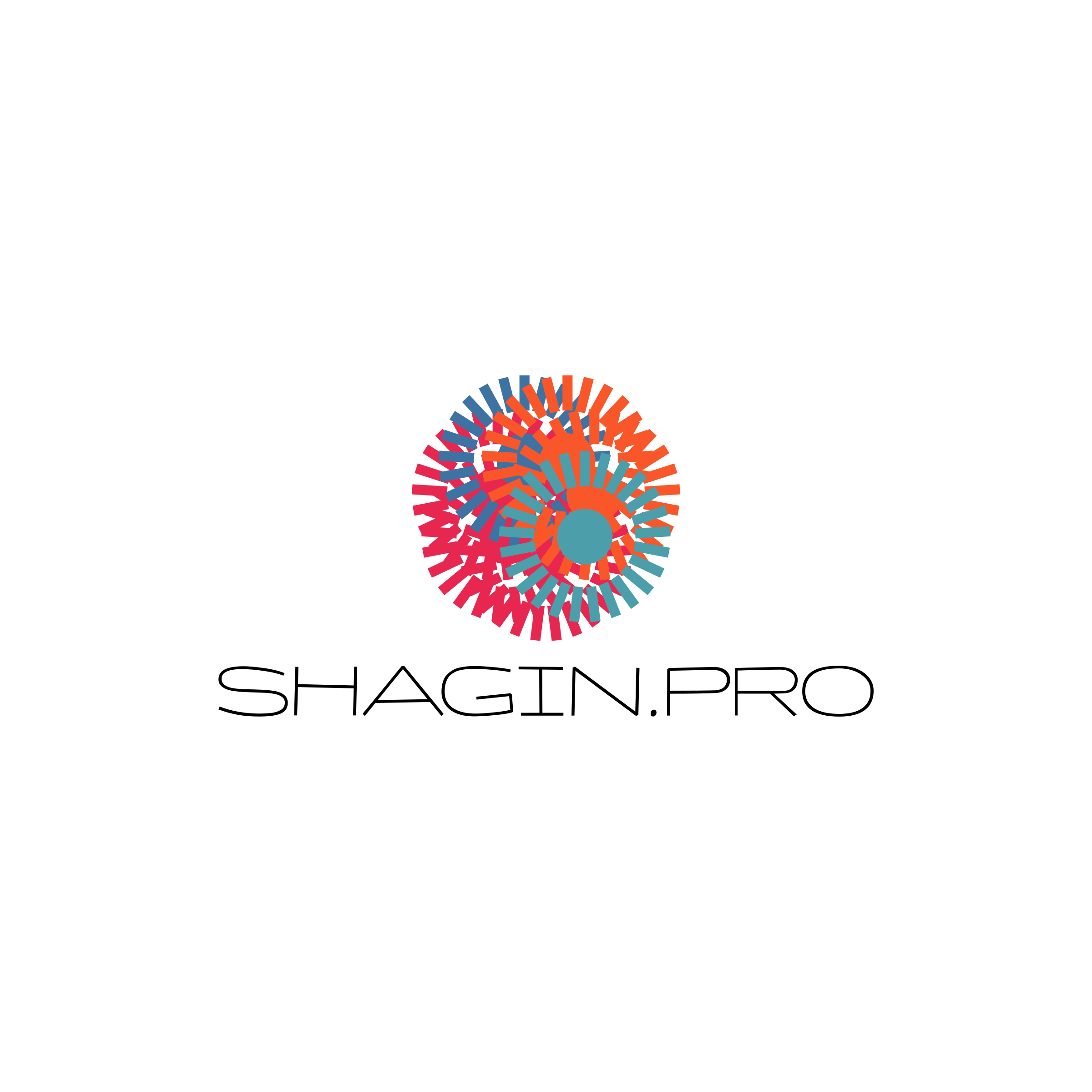 Company logo “shagin.pro”