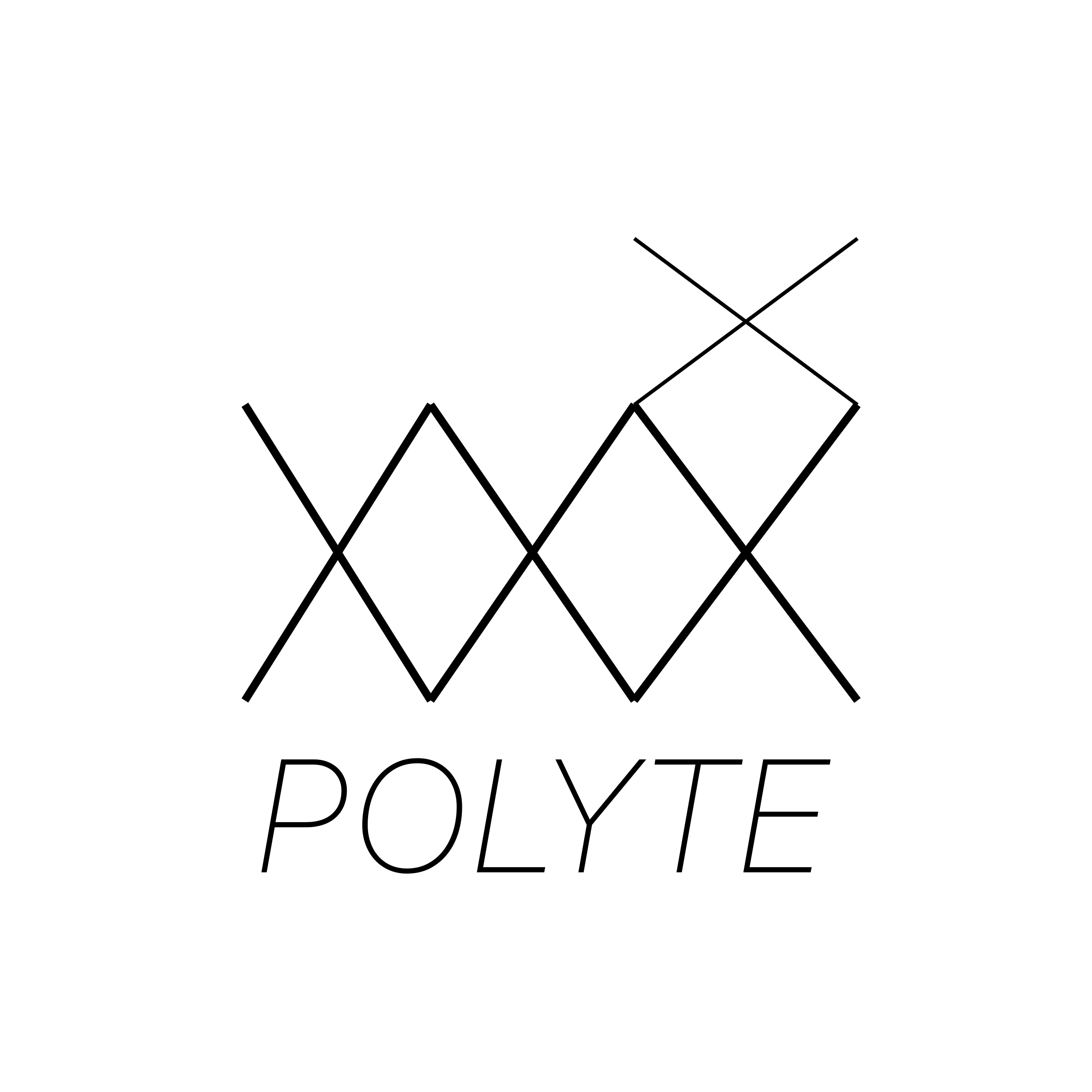 Company logo «Polyte»