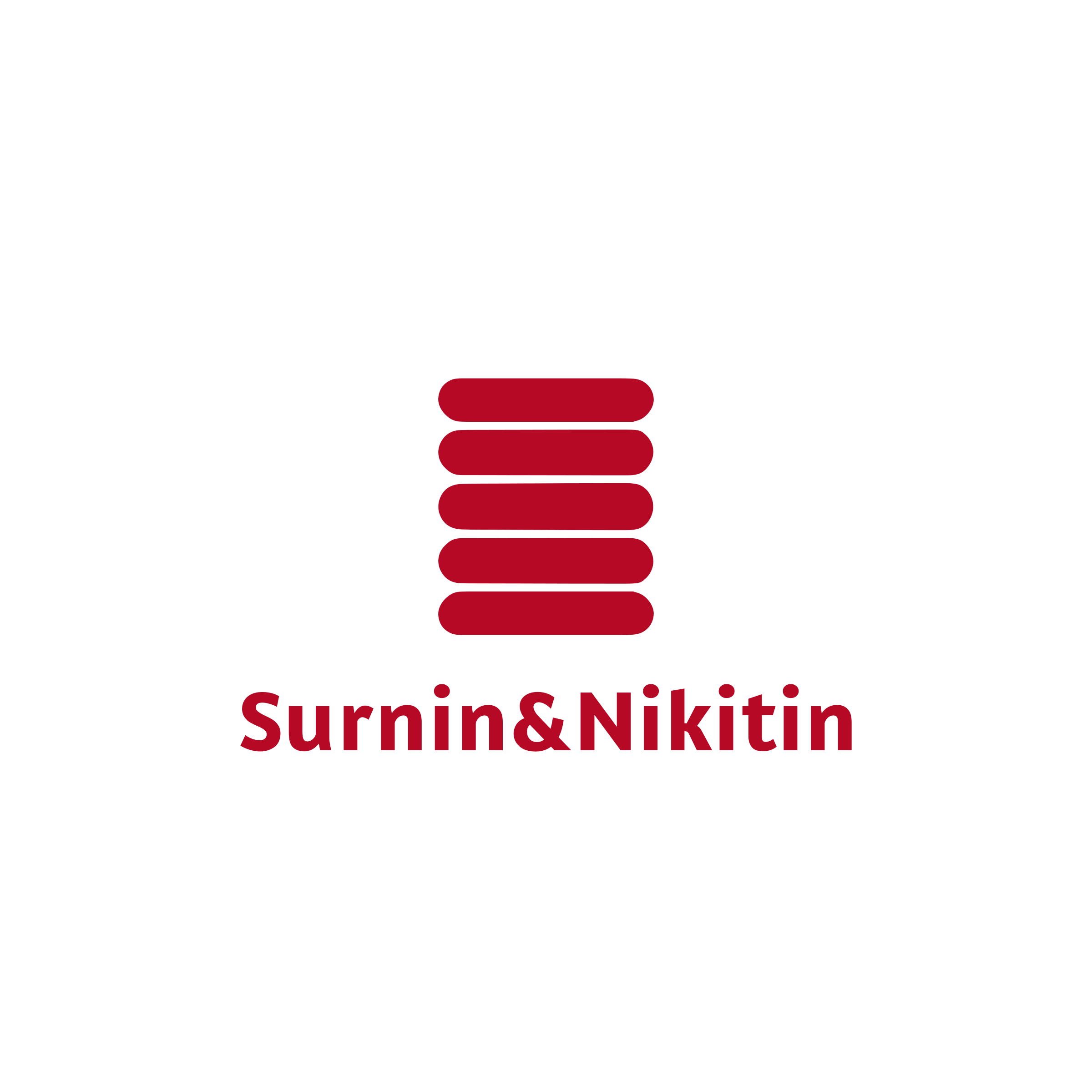 Company logo “Surnin&Nikitin”