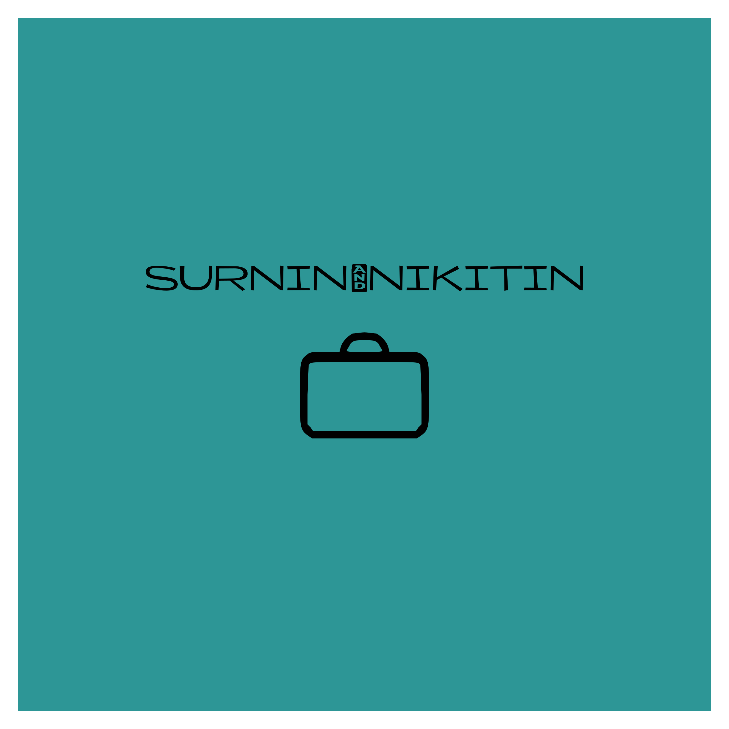 Company logo “Surnin&Nikitin”