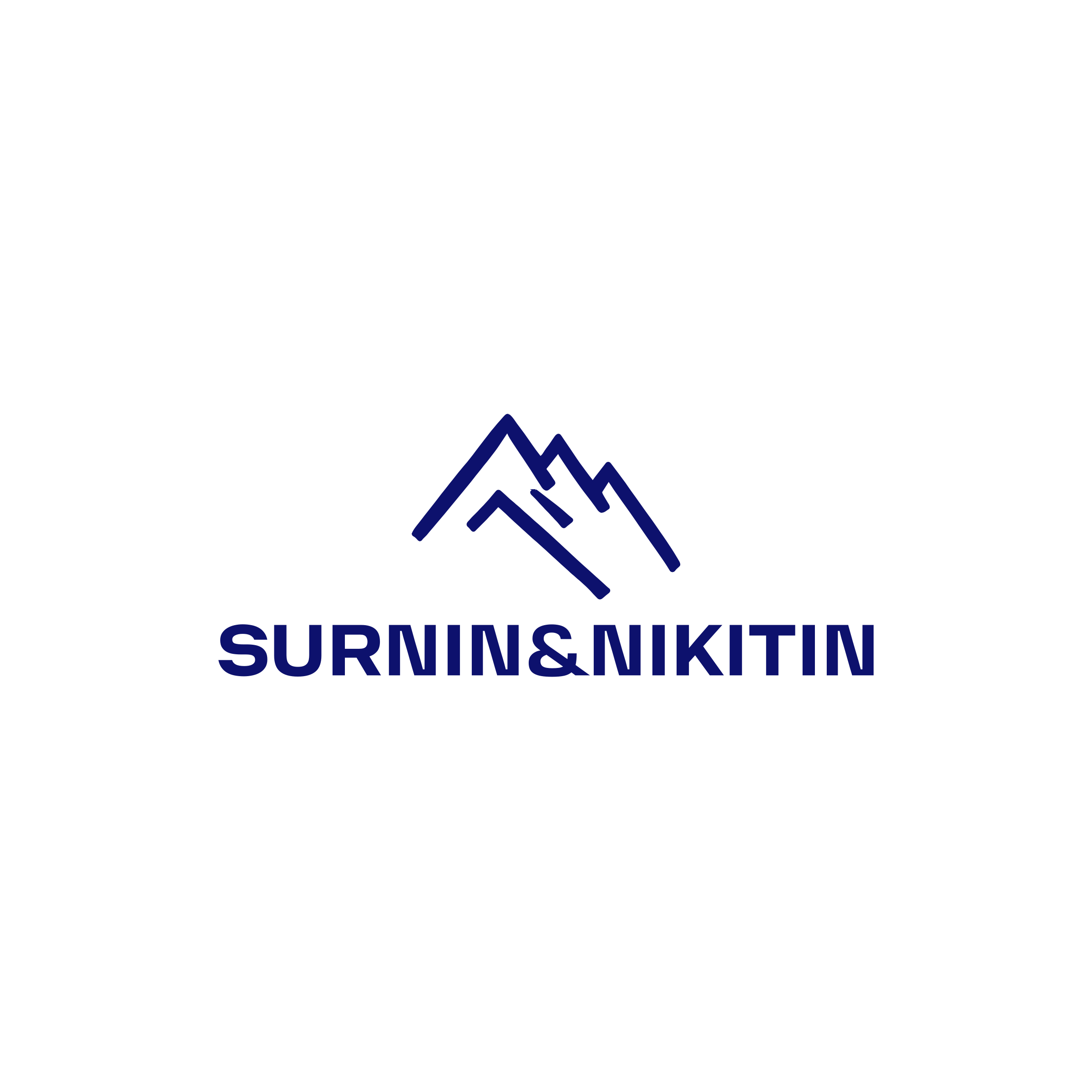 Company logo “Surnin&Nikitin”