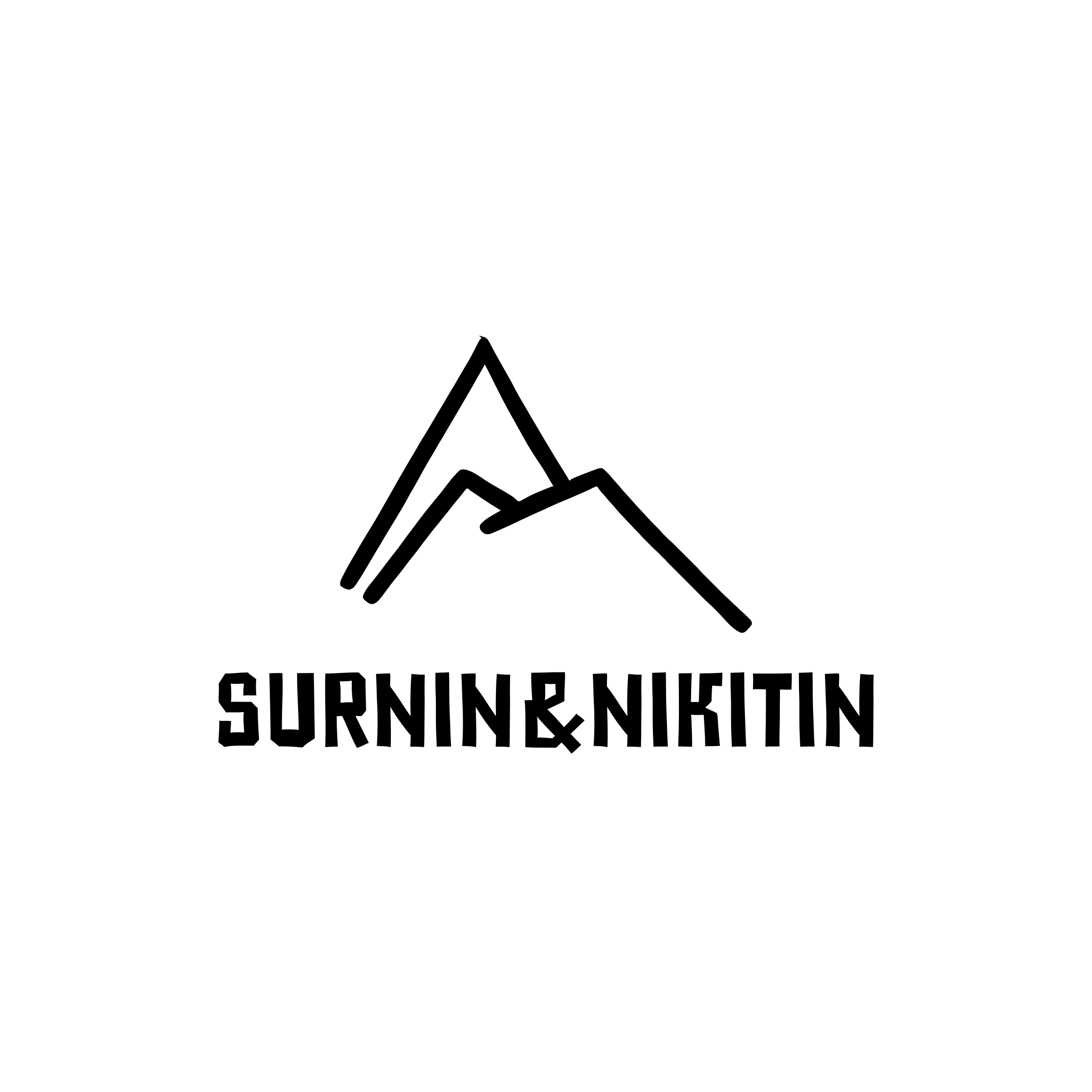 Company logo “Surnin&Nikitin”