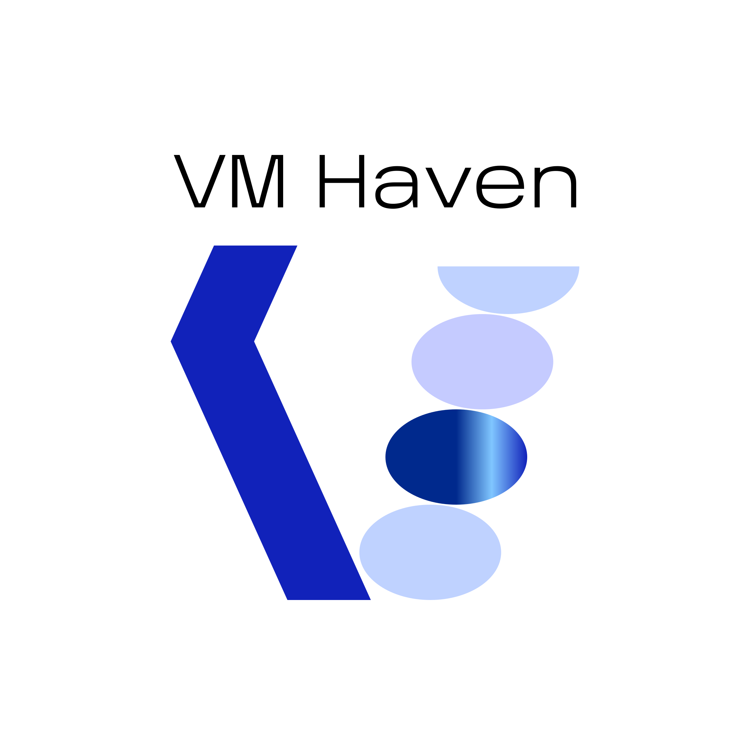 Company logo “VM Haven”