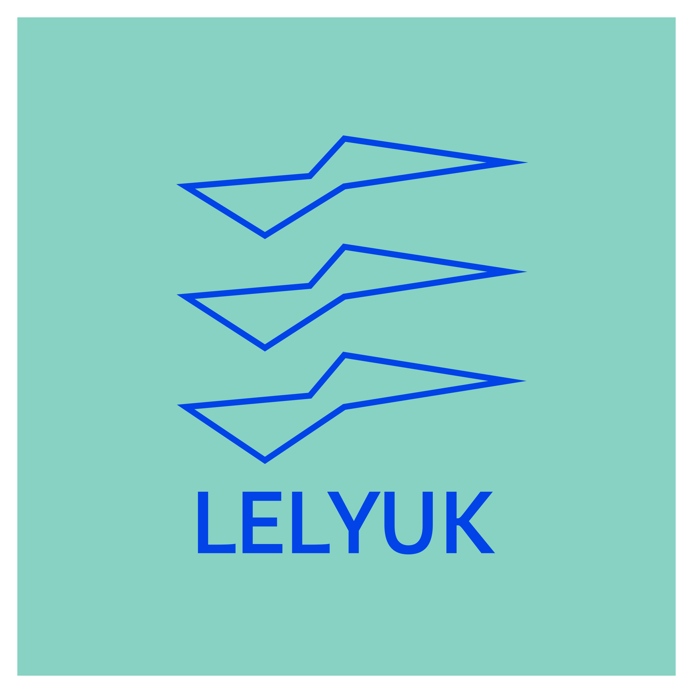 Company logo «lelyuk»