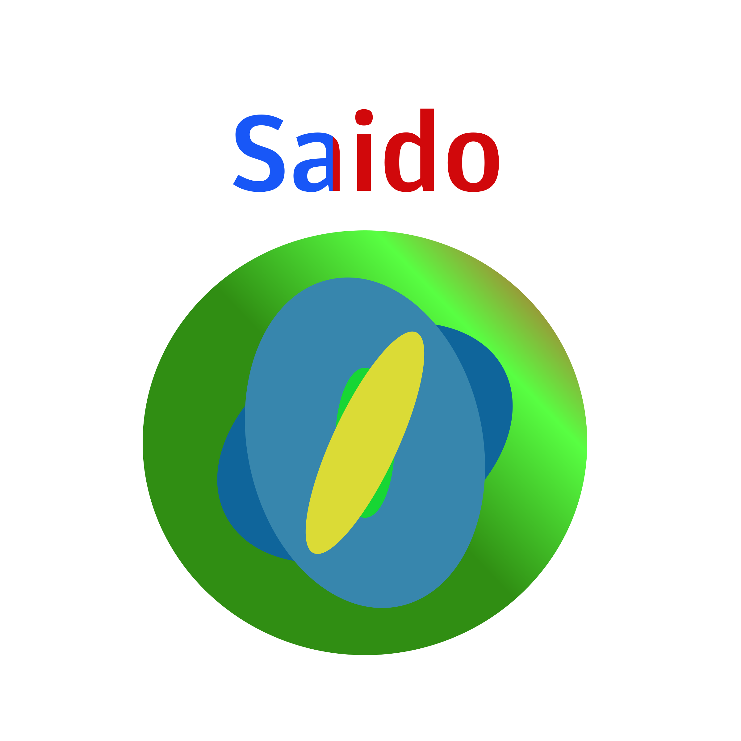 Company logo “Saido”