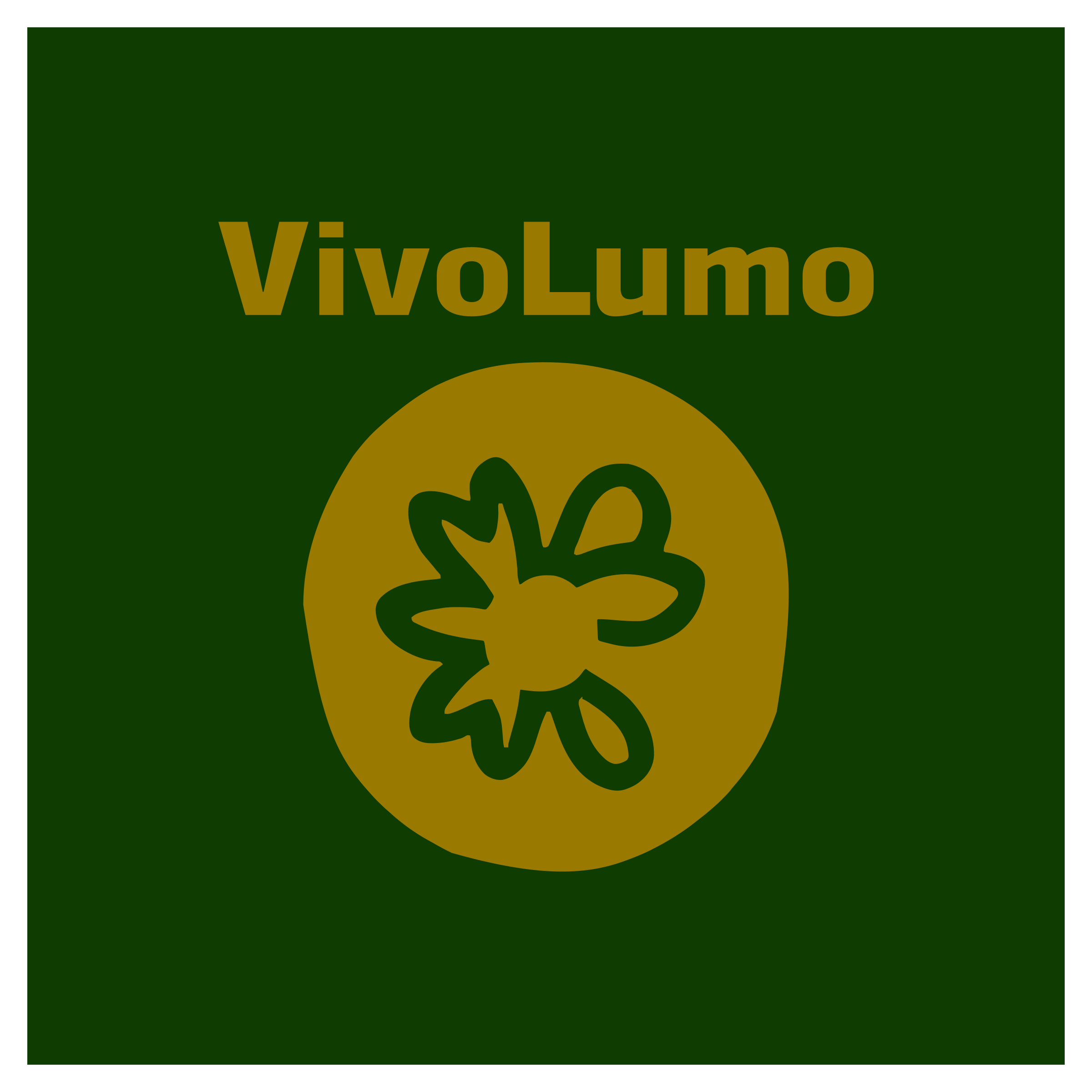 Company logo “VivoLumo”