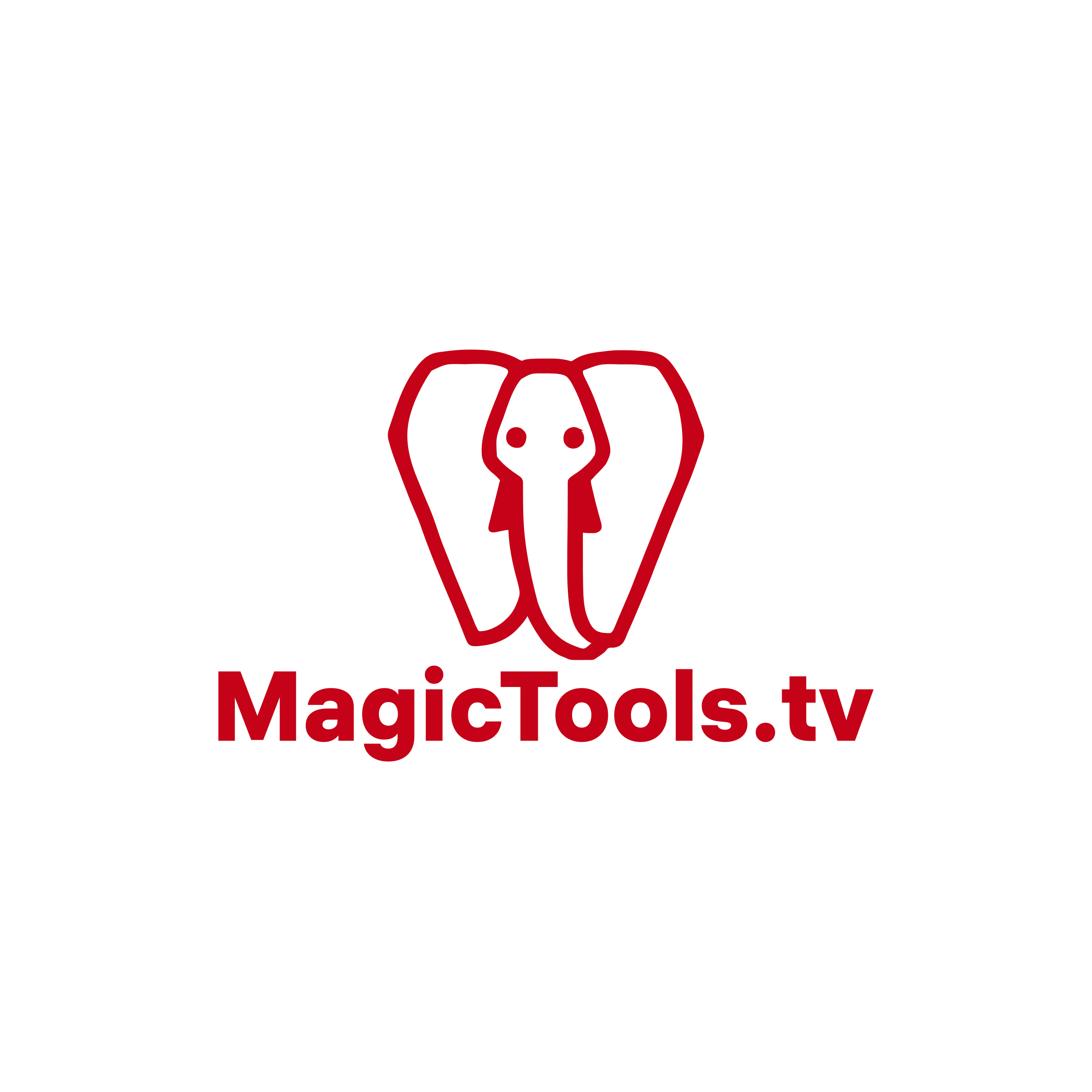 Company logo «MagicTools.tv»