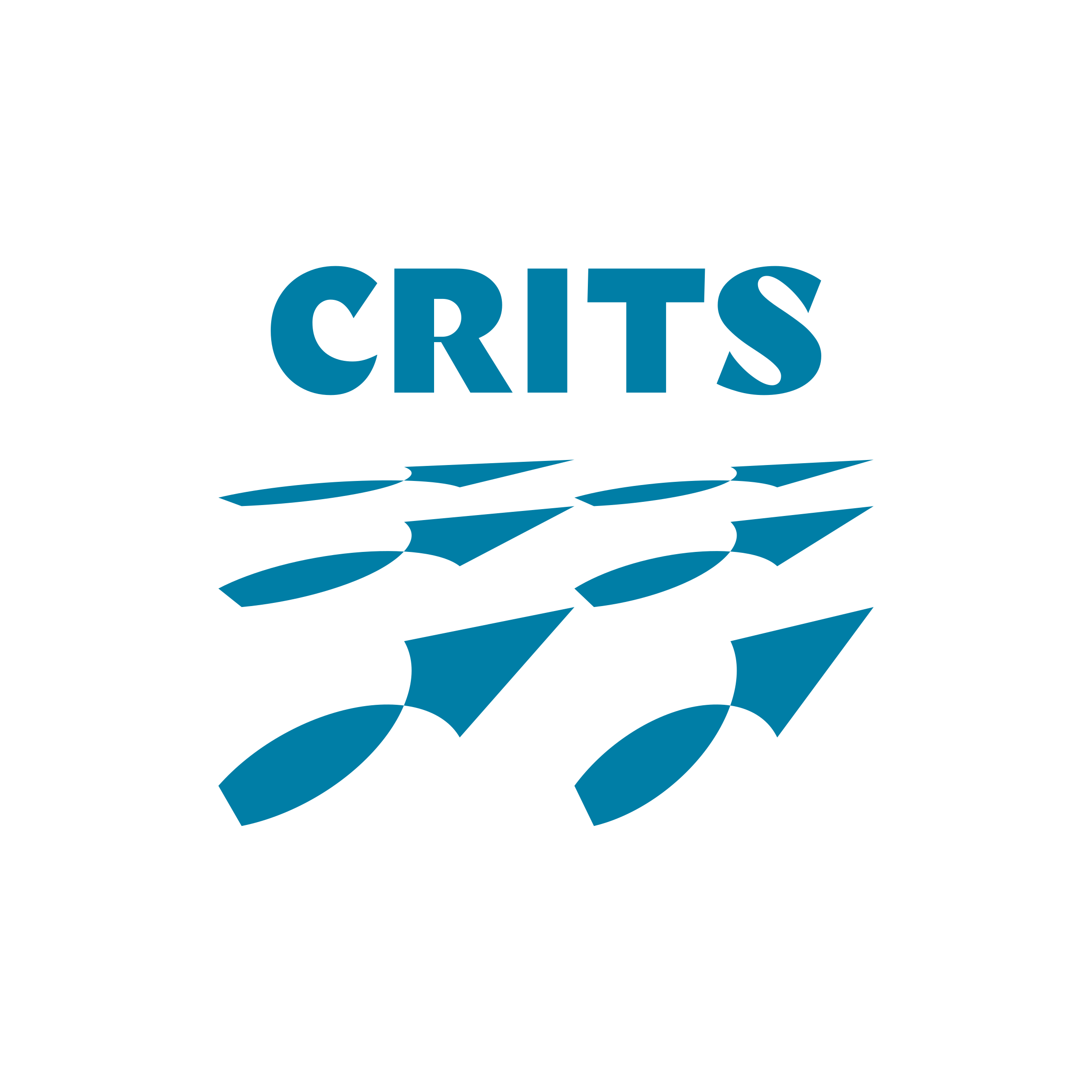 Company logo «CRITS»