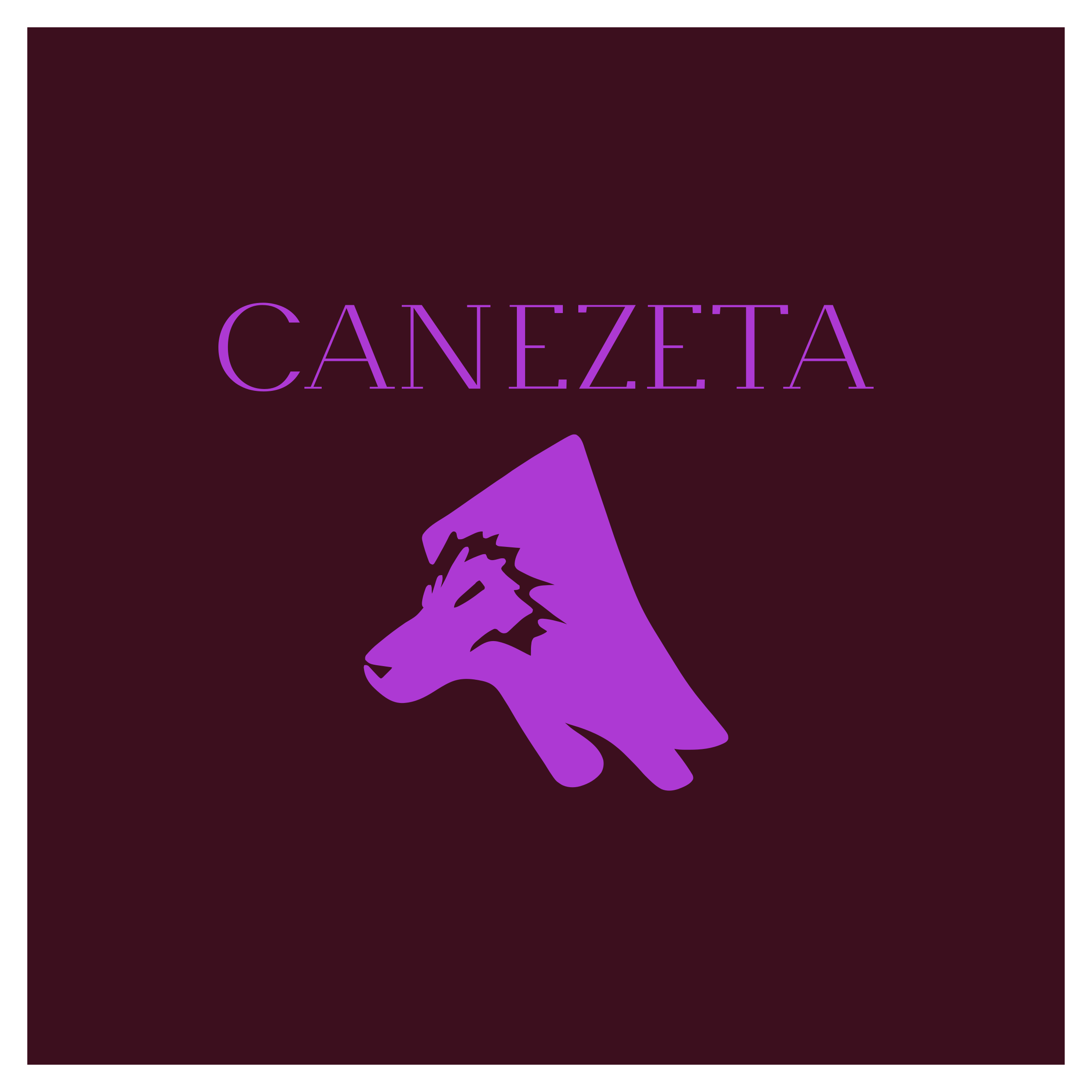 Company logo “CaneZeta”