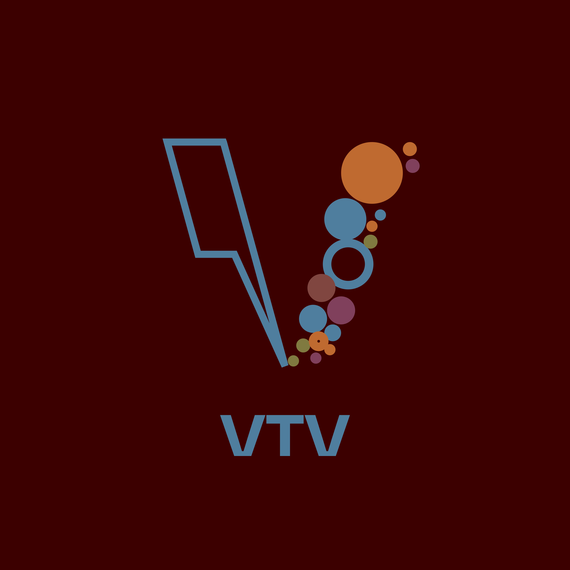 Company logo «VTV»