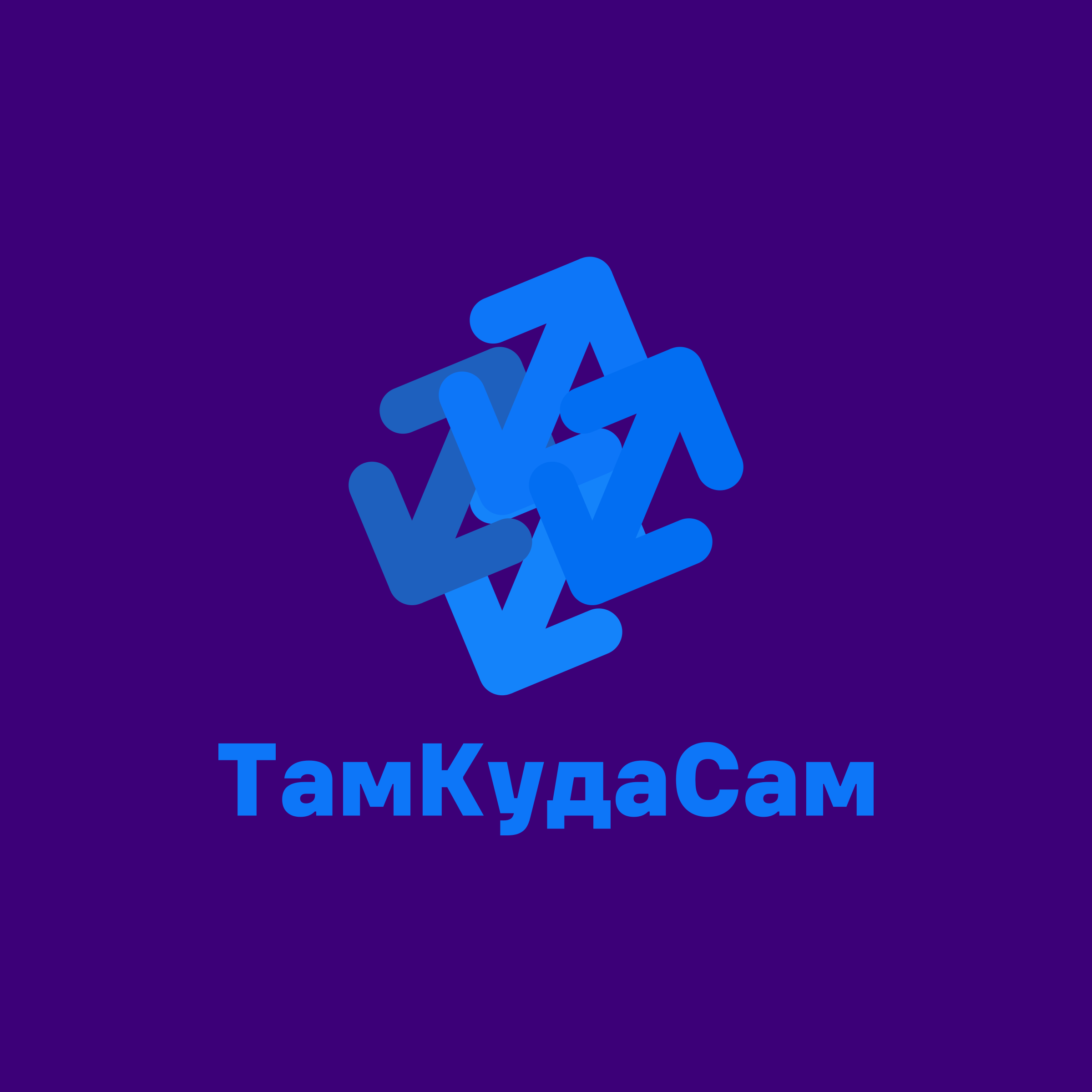 Company logo “TamKudaSam”