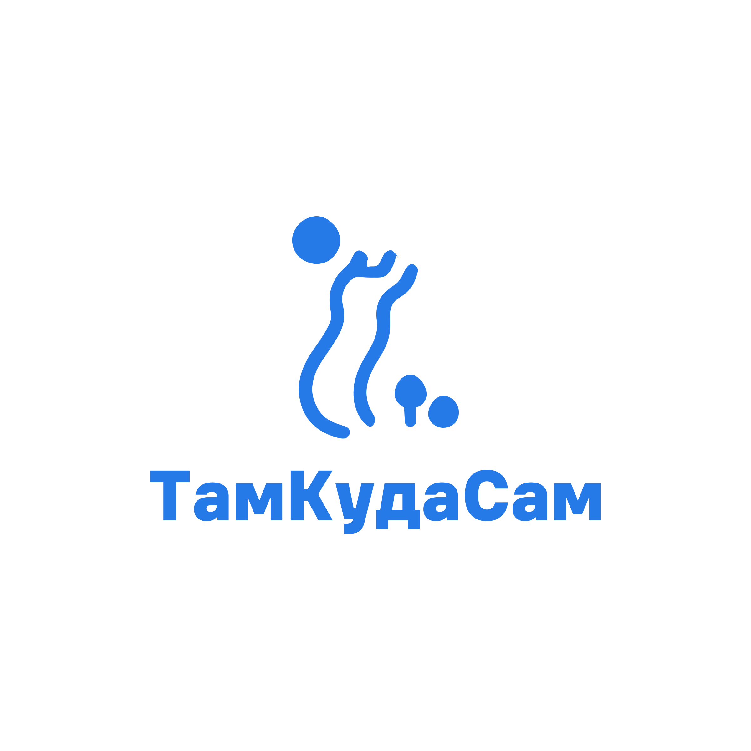 Company logo “TamKudaSam”