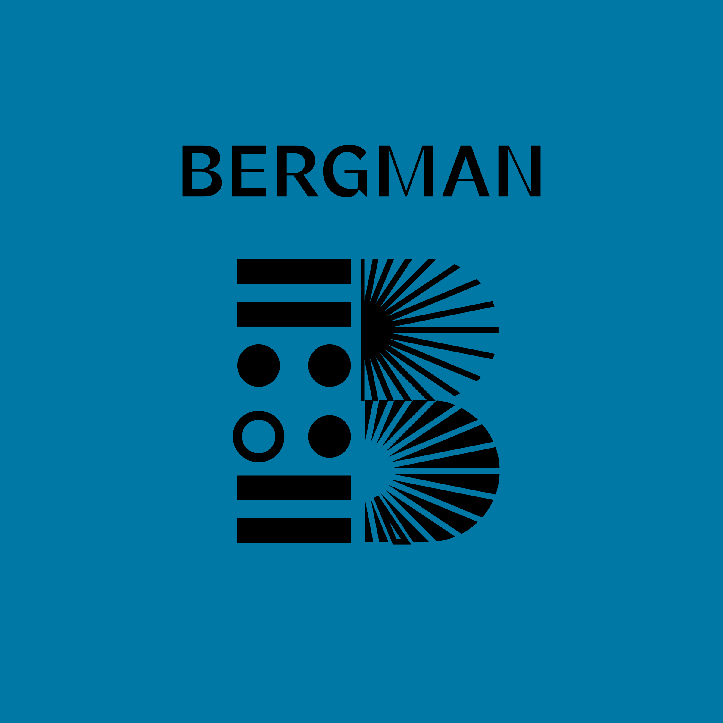 Company logo “BERGMAN”