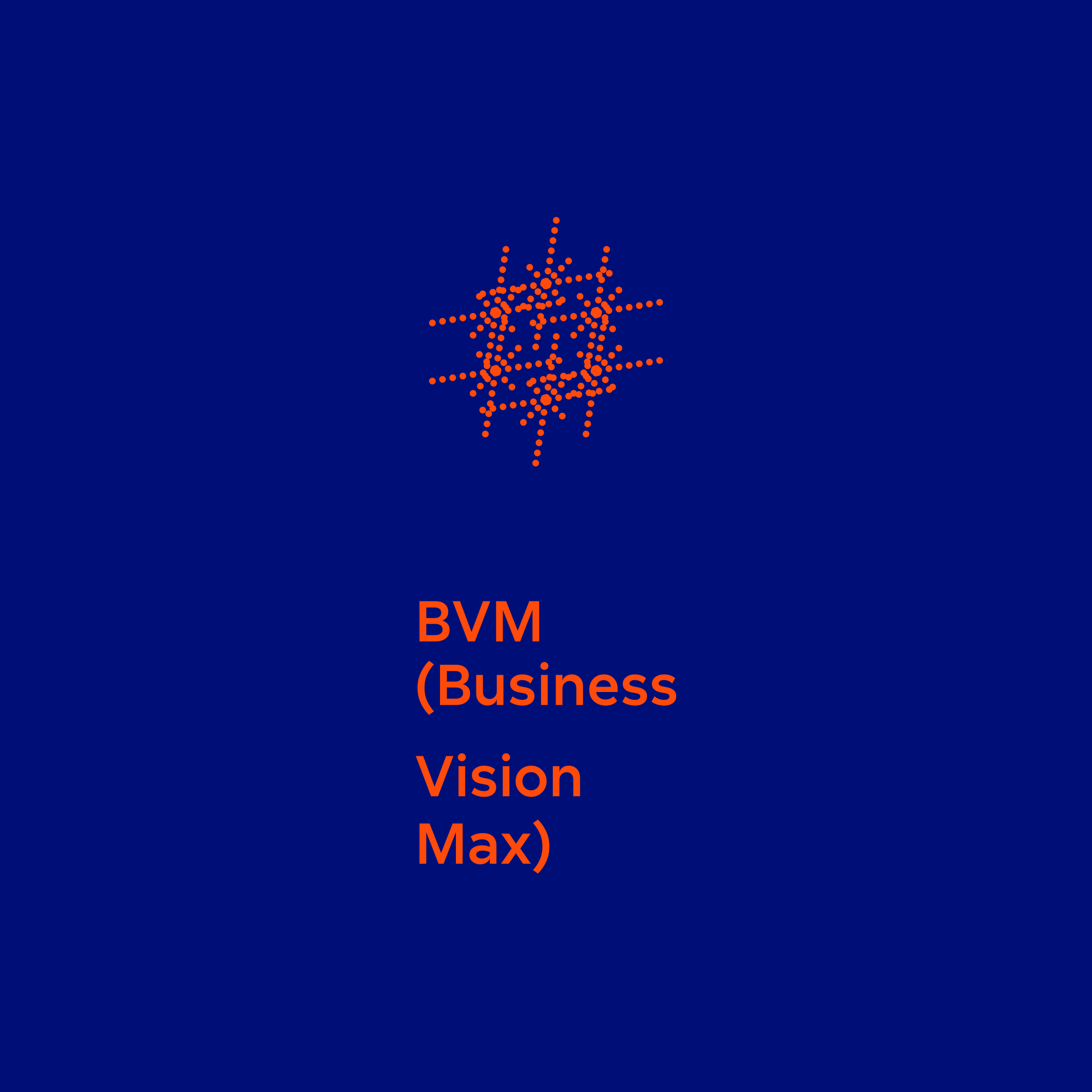 Company logo “BVM (Business Vision Max)”