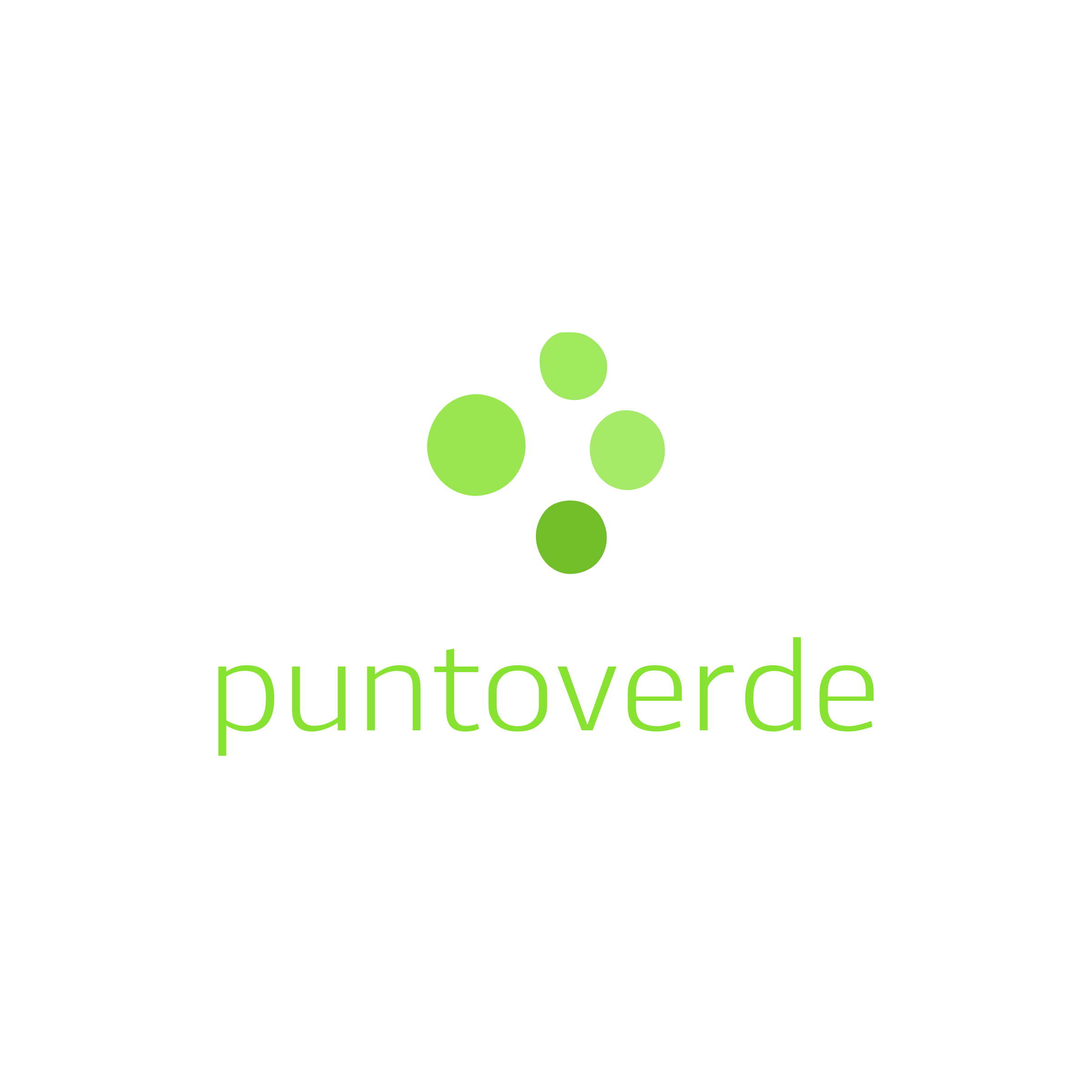 Company logo «puntoverde»