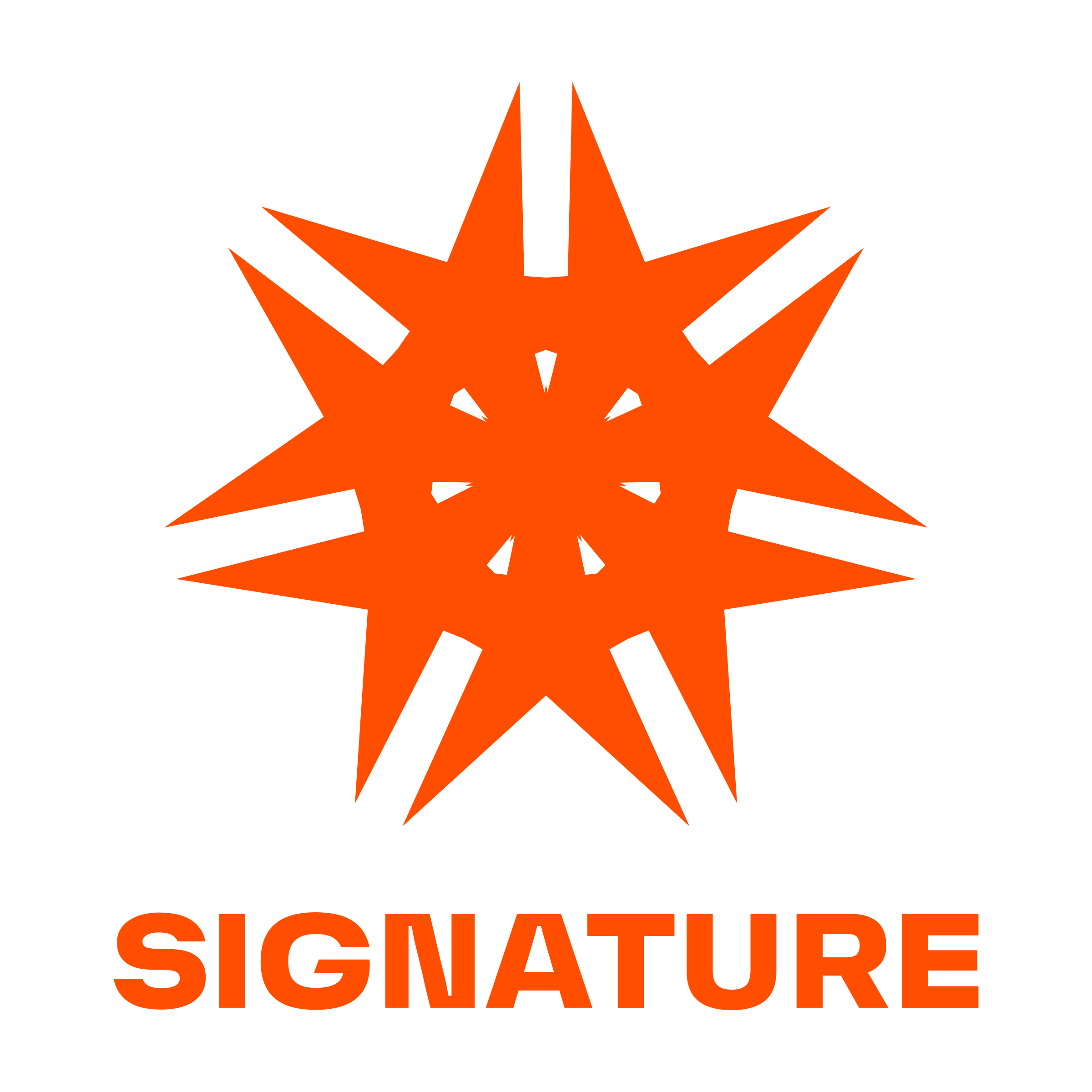 Company logo «SIGNATURE»