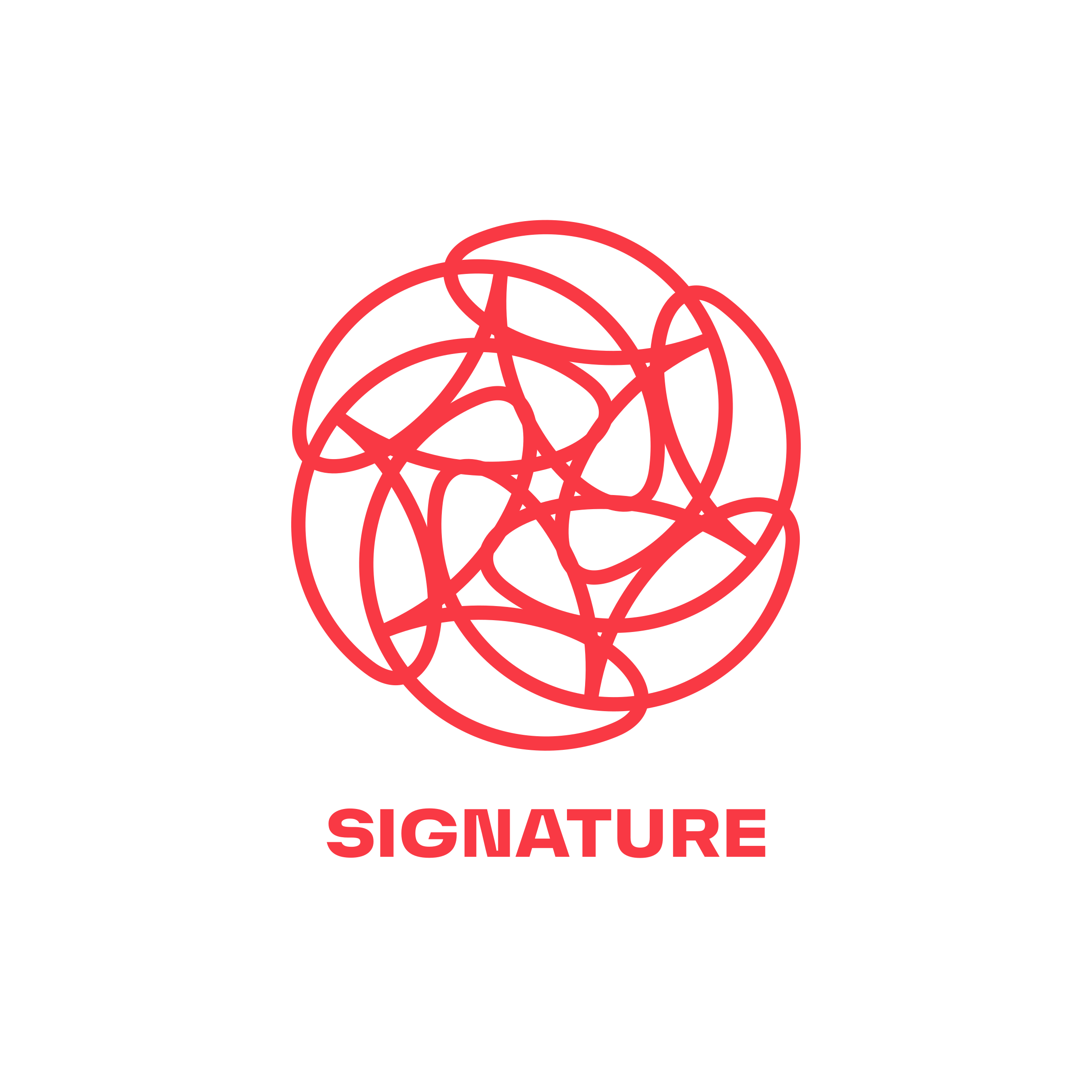 Логотип компании «SIGNATURE»