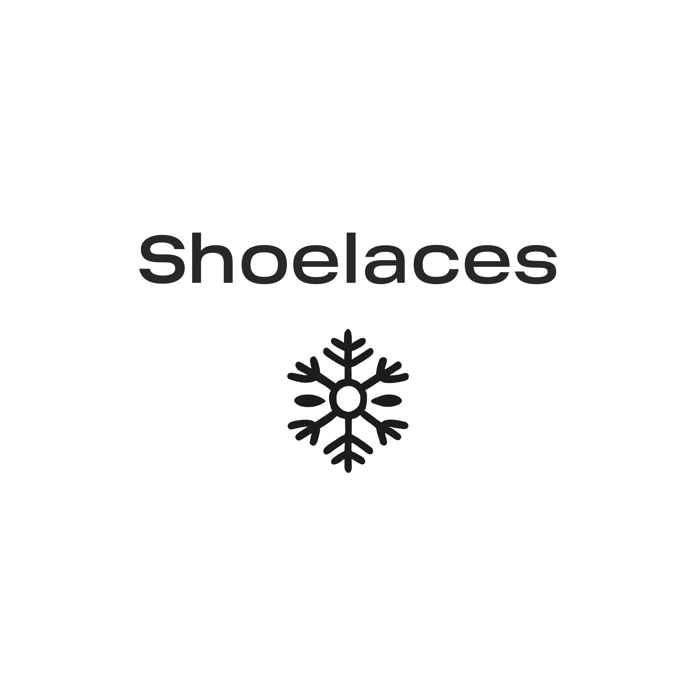 Company logo «Shoelaces»