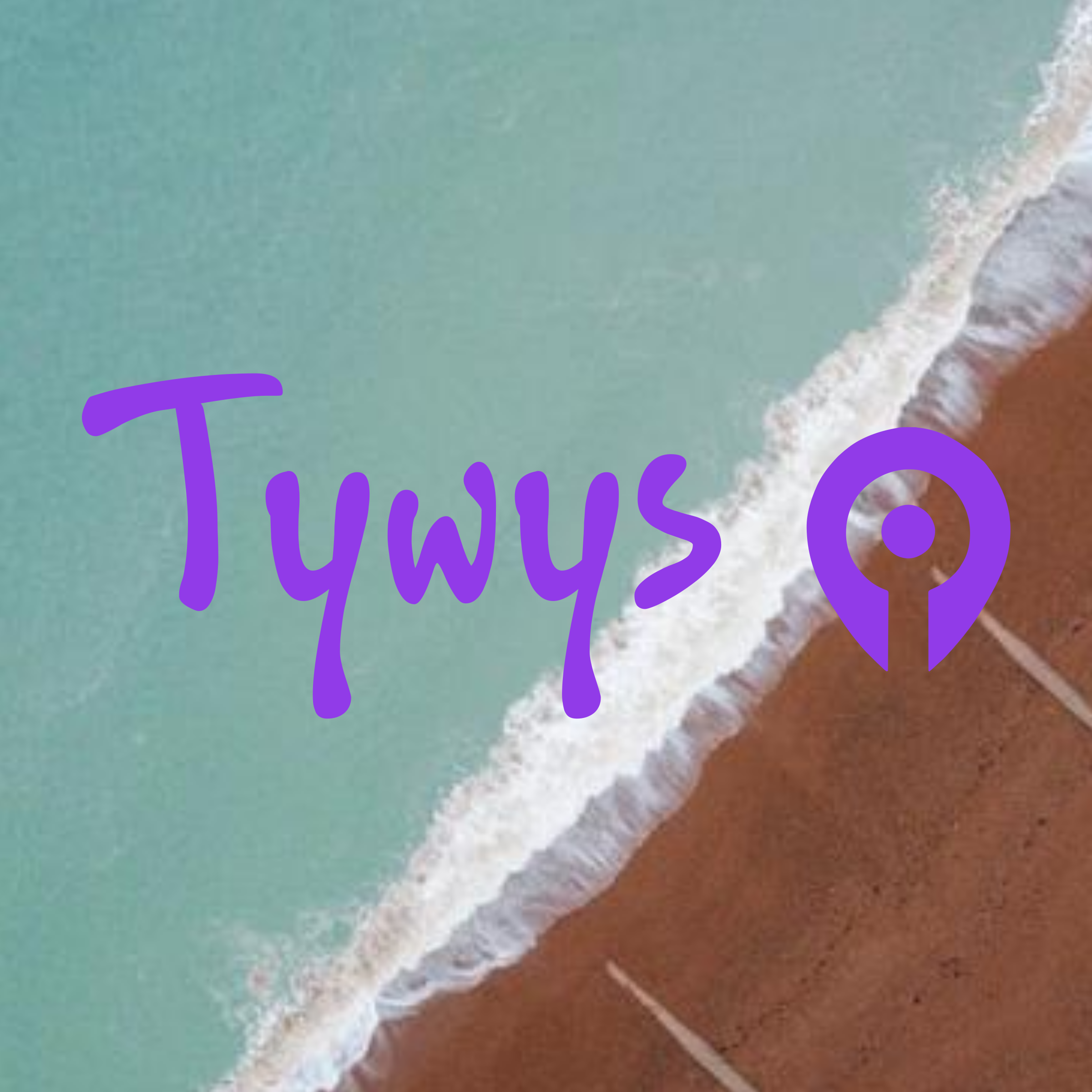 Company logo «Tywys»