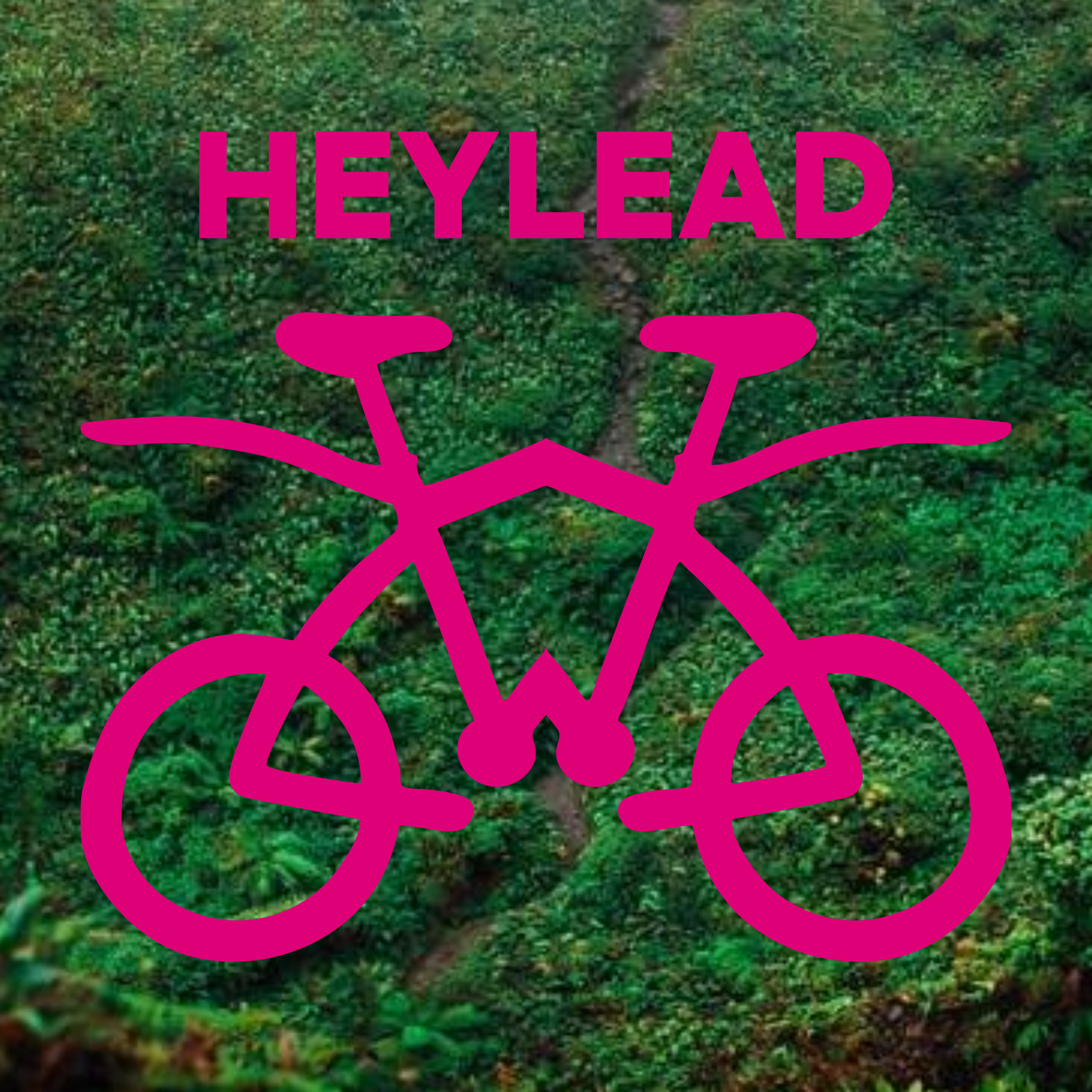 Логотип компании «HEYLEAD»