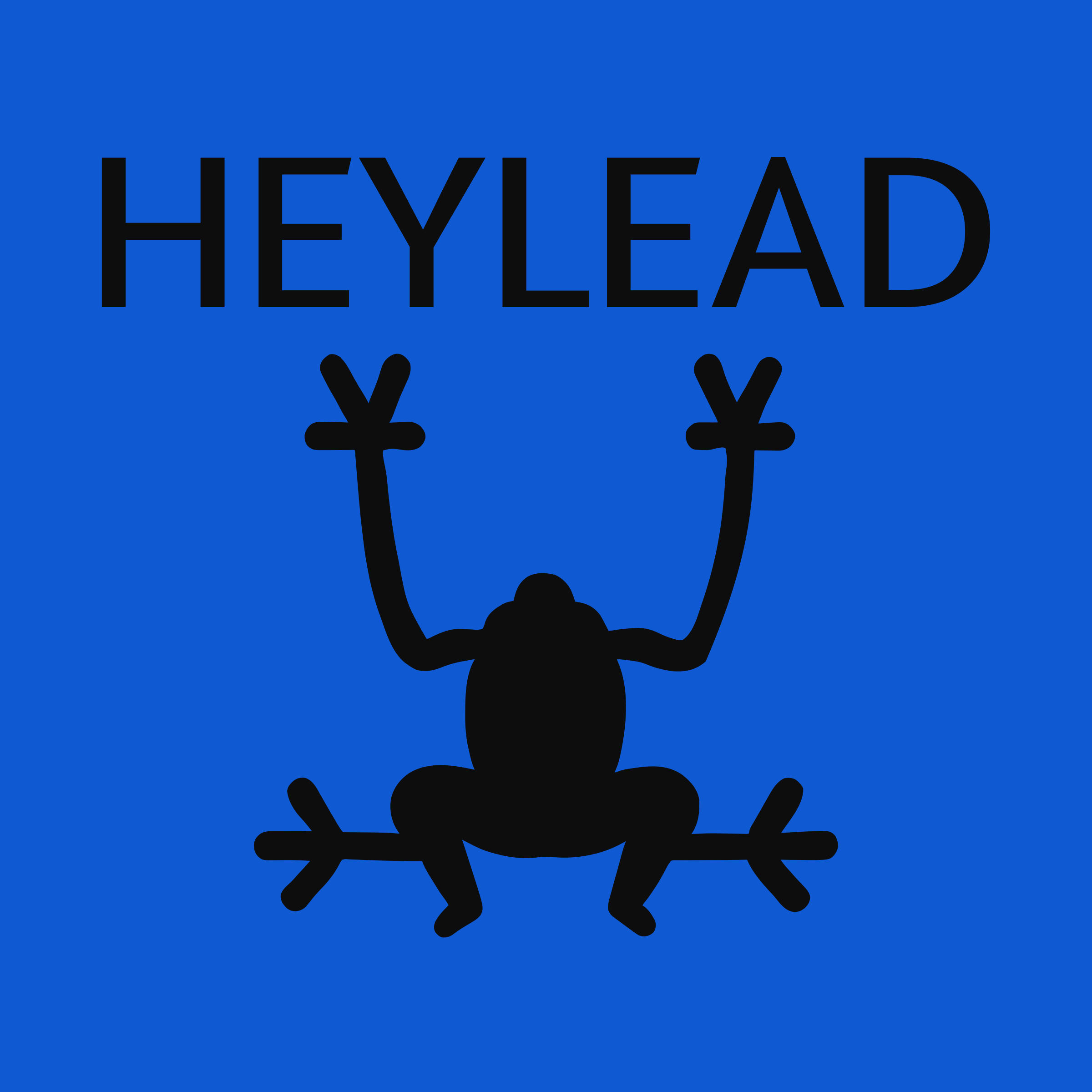 Company logo «HEYLEAD»