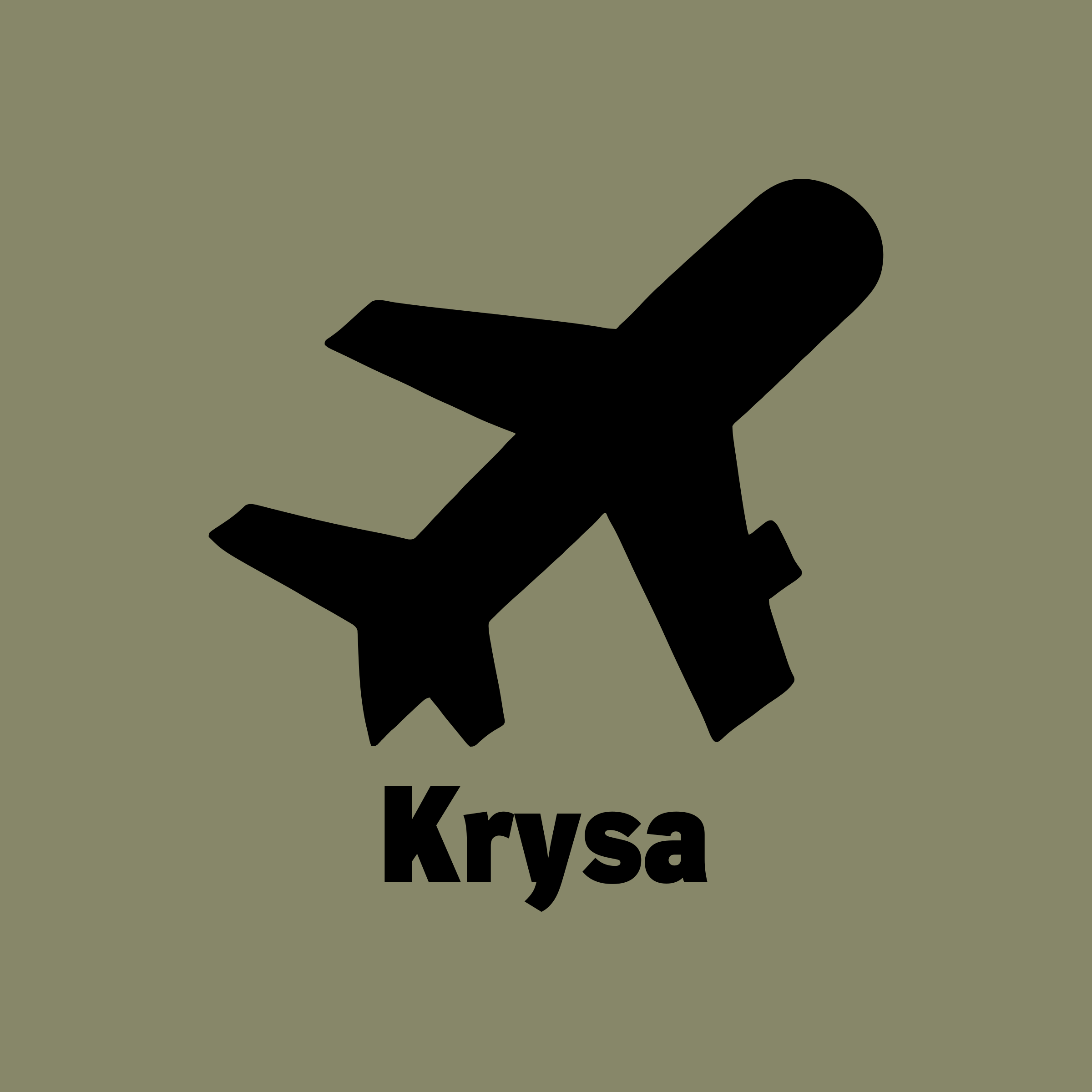 Company logo «Krysa»