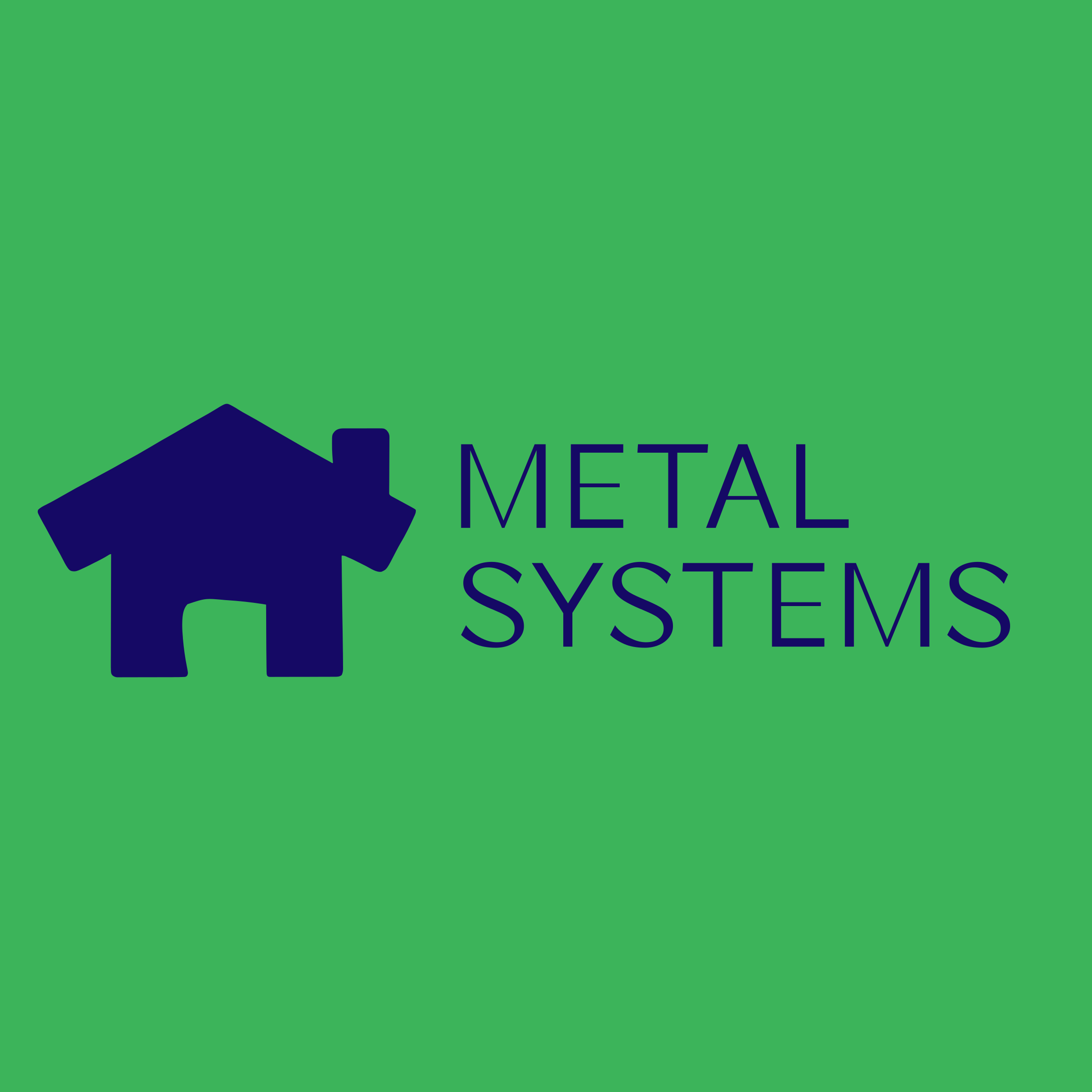 Company logo «METAL SYSTEMS»