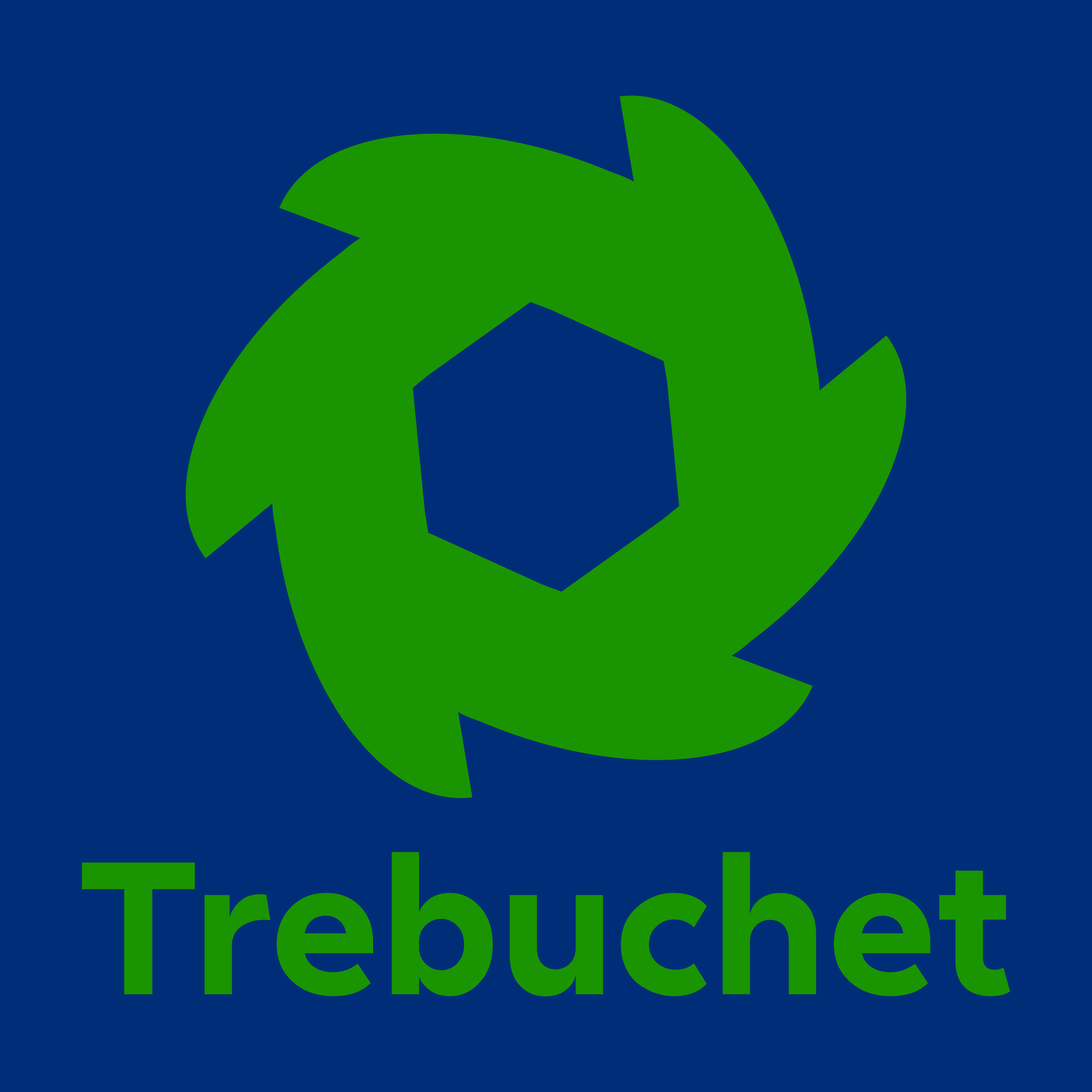 Company logo «Trebuchet»