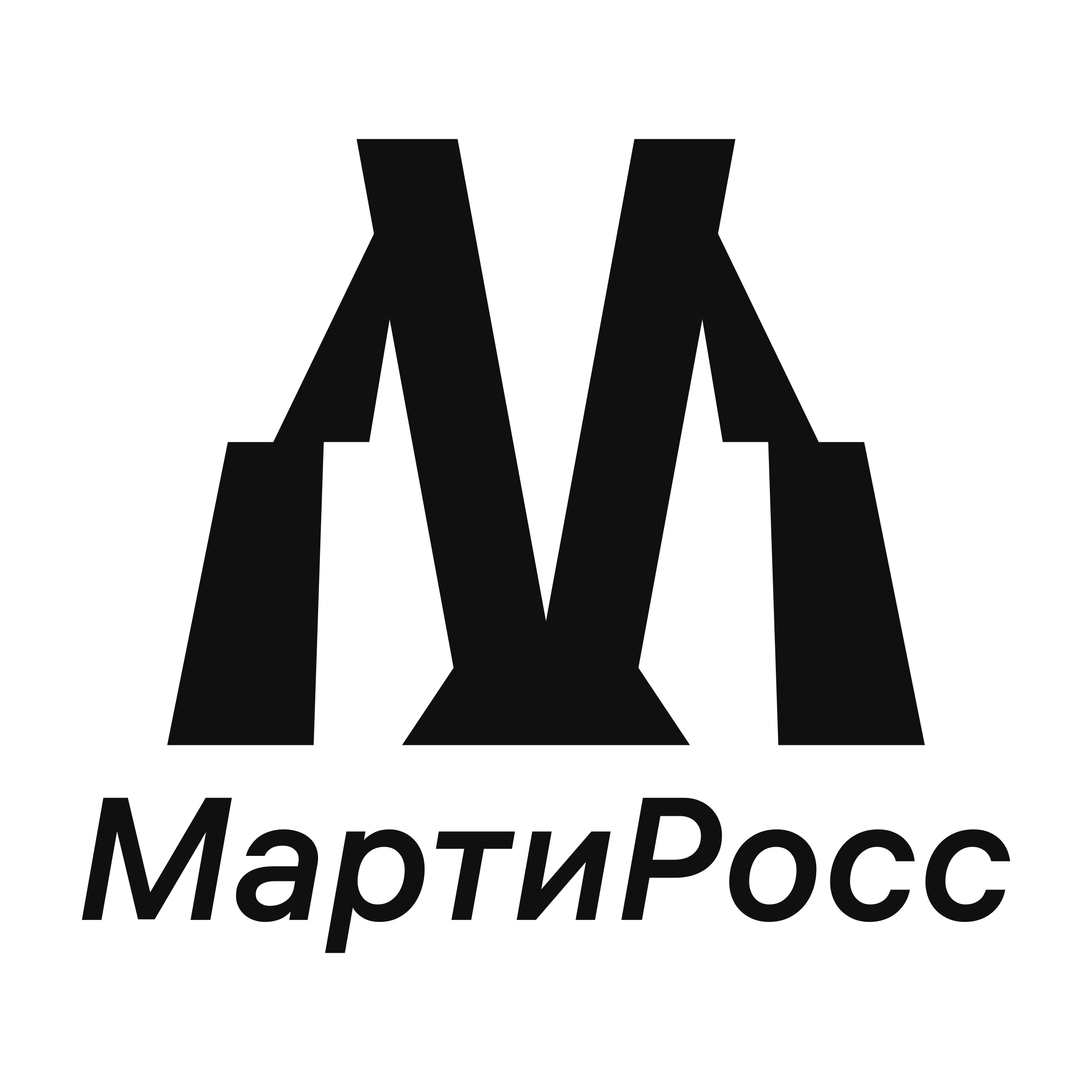 Company logo “MartyRoss”