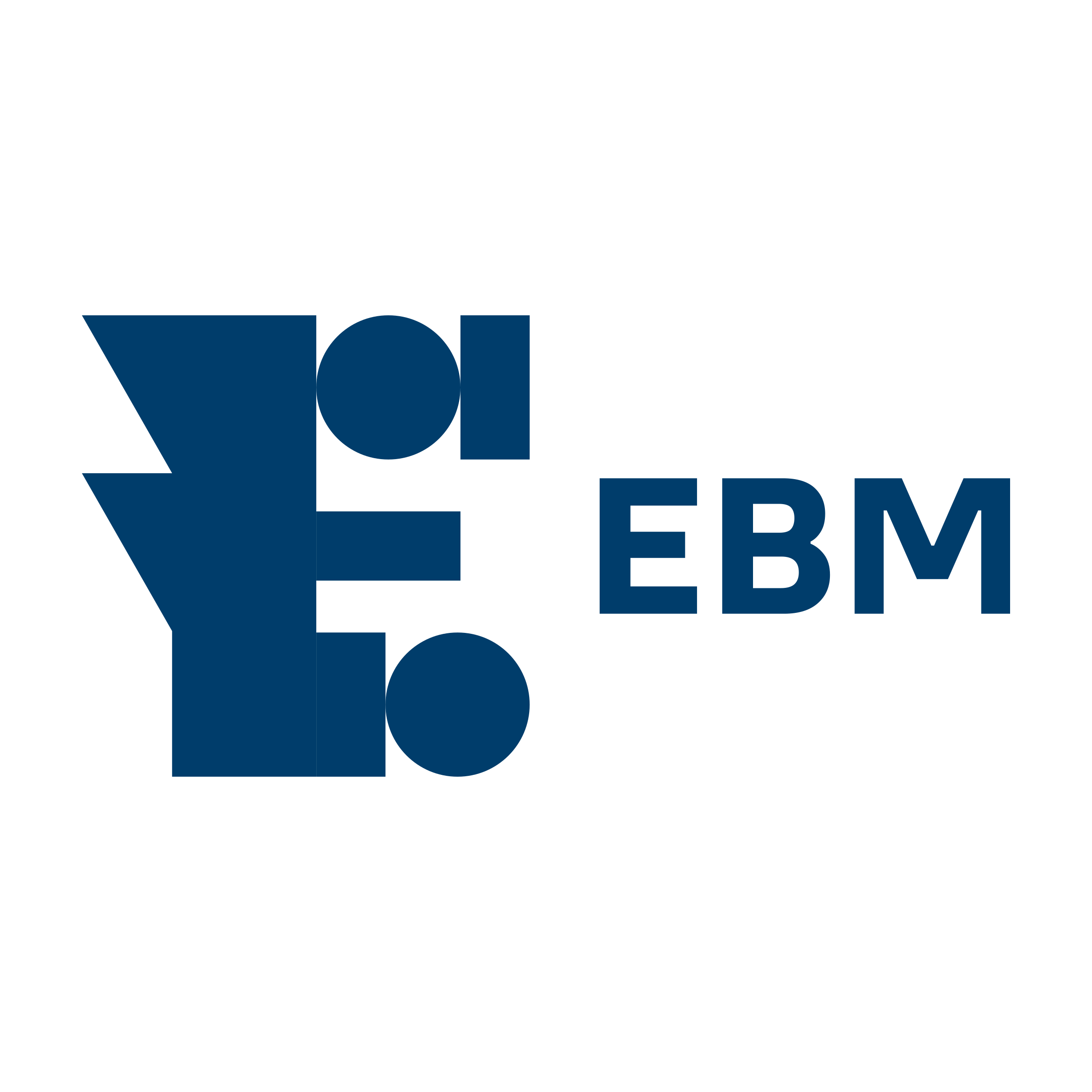 Company logo «EBM»